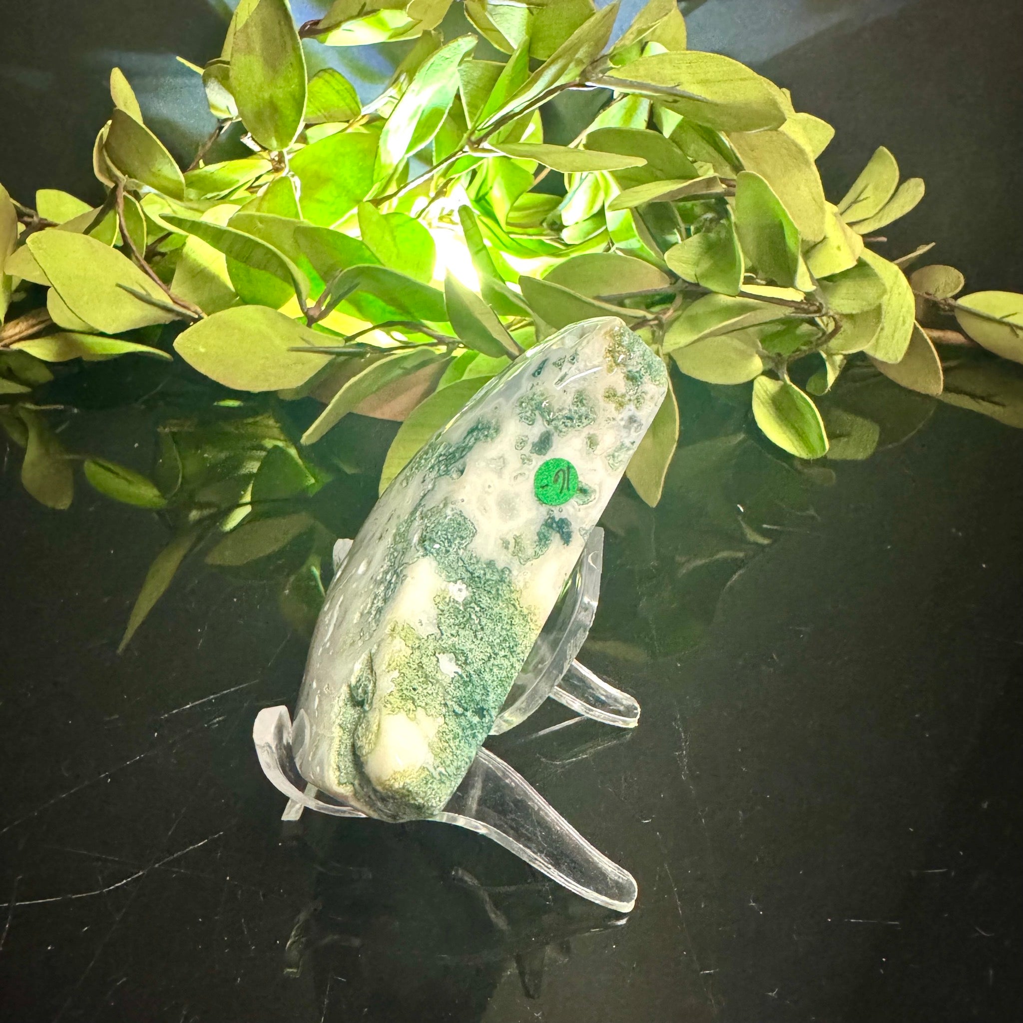 Moss Agate Moon Carving