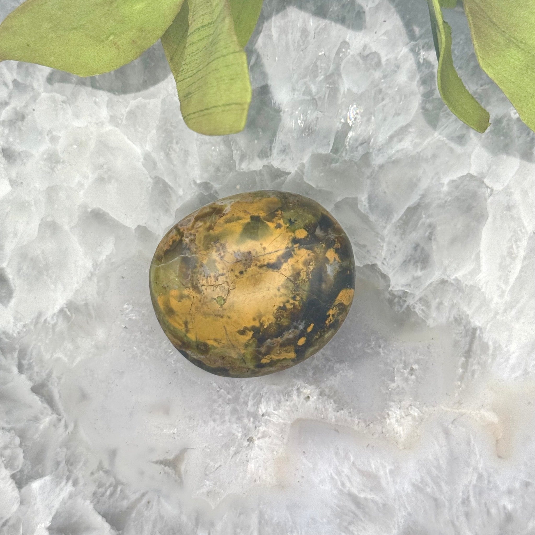 Green Opal Palm Stone