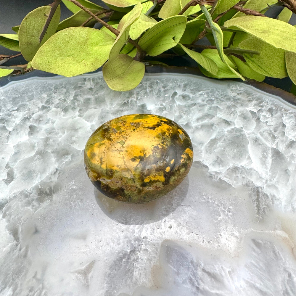 Green Opal Palm Stone