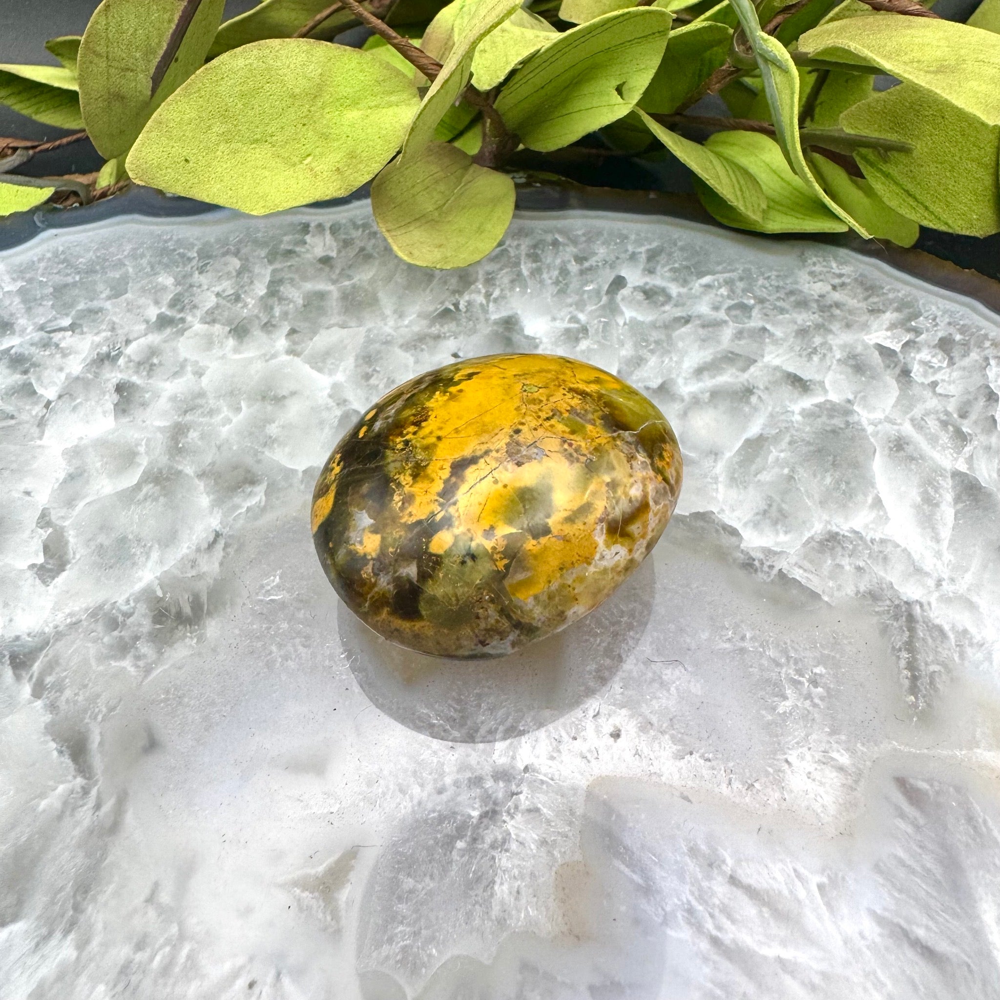 Green Opal Palm Stone
