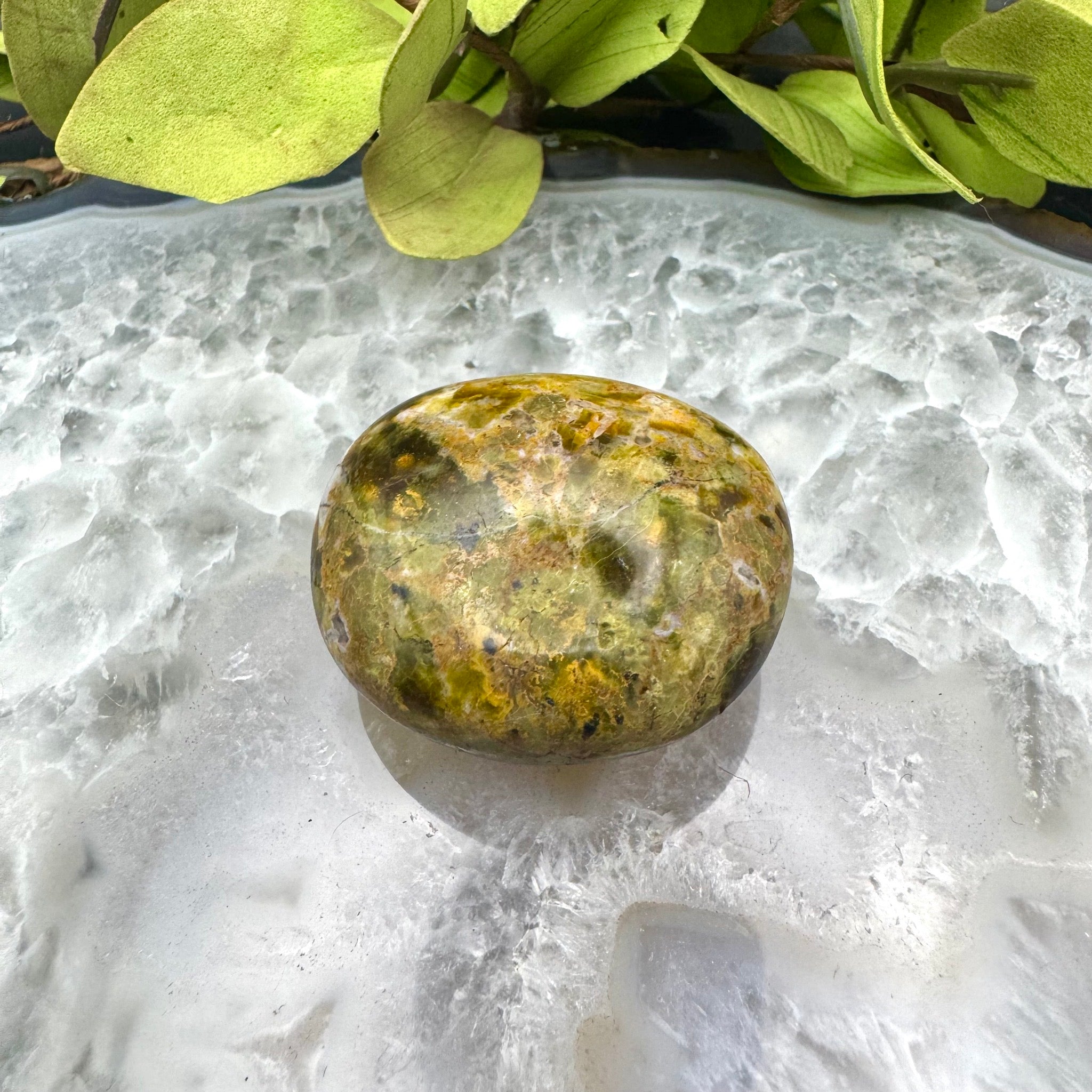 Green Opal Palm Stone