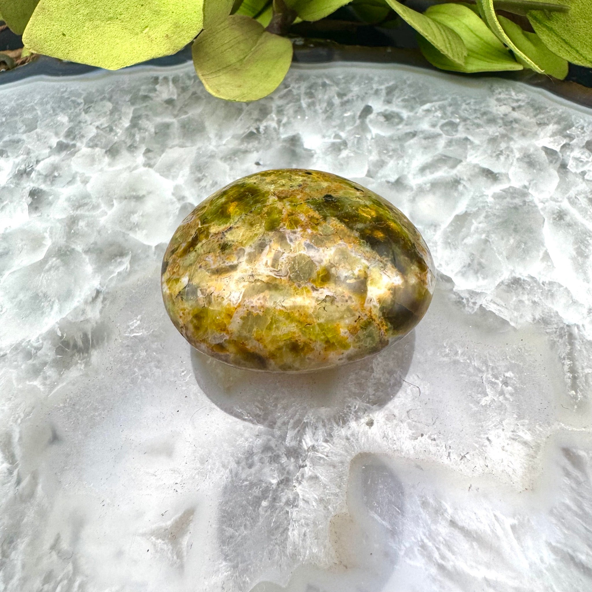 Green Opal Palm Stone