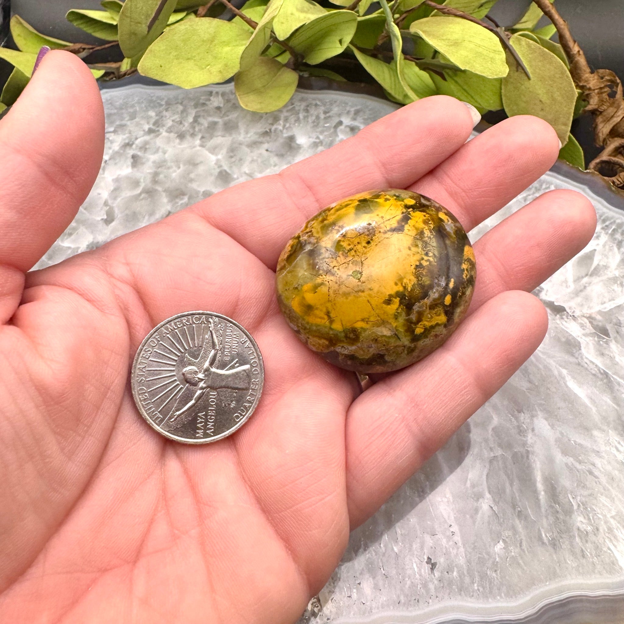 Green Opal Palm Stone