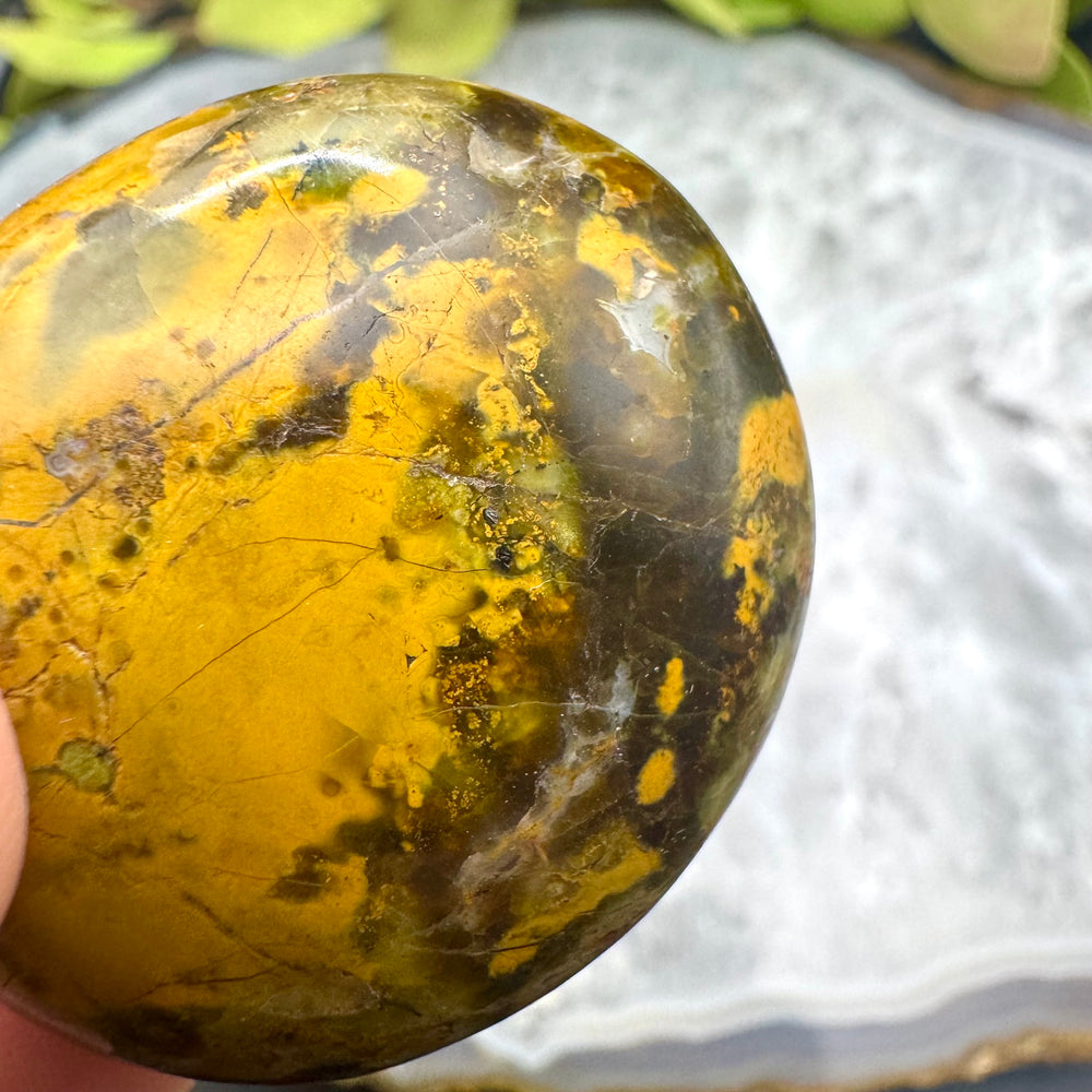 Green Opal Palm Stone