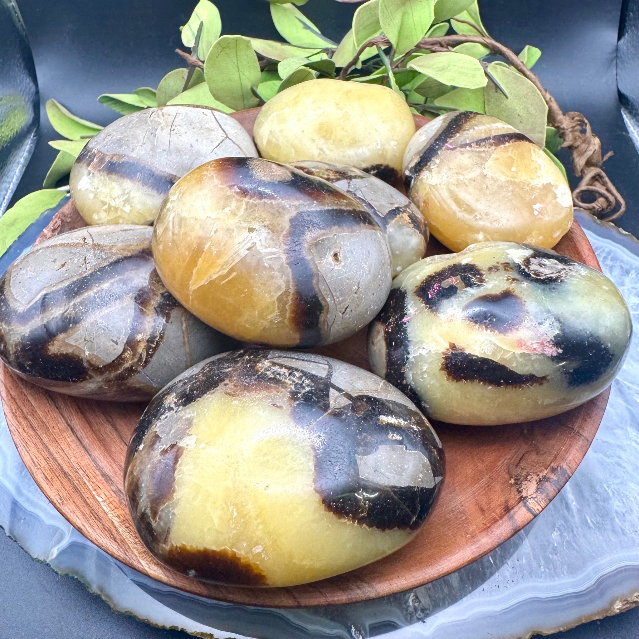 Septarian Palm Stone
