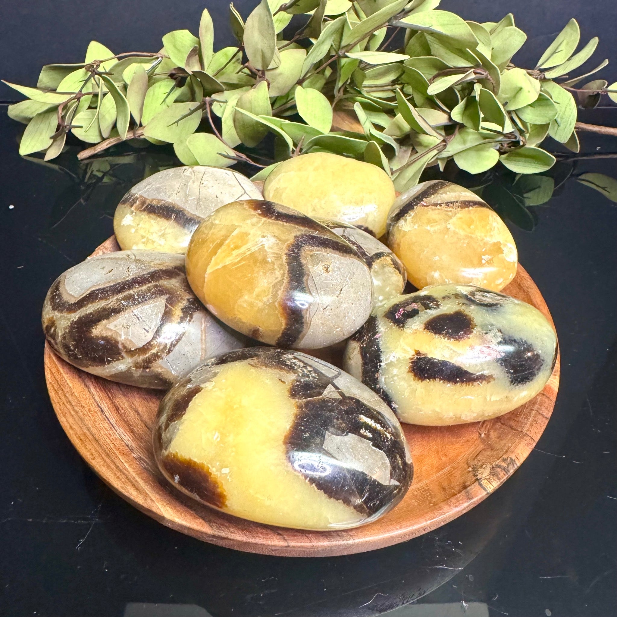Septarian Palm Stone