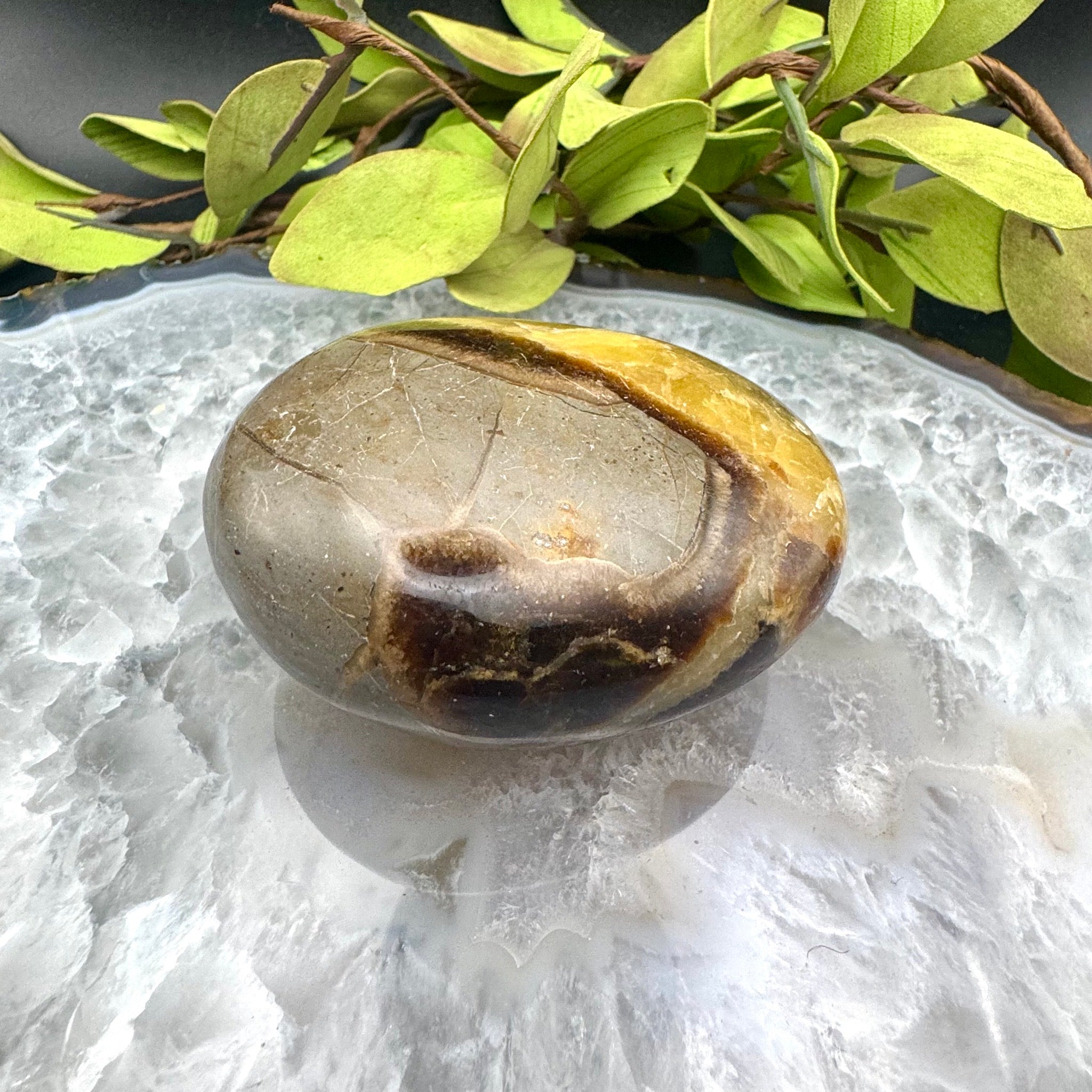 Septarian Palm Stone