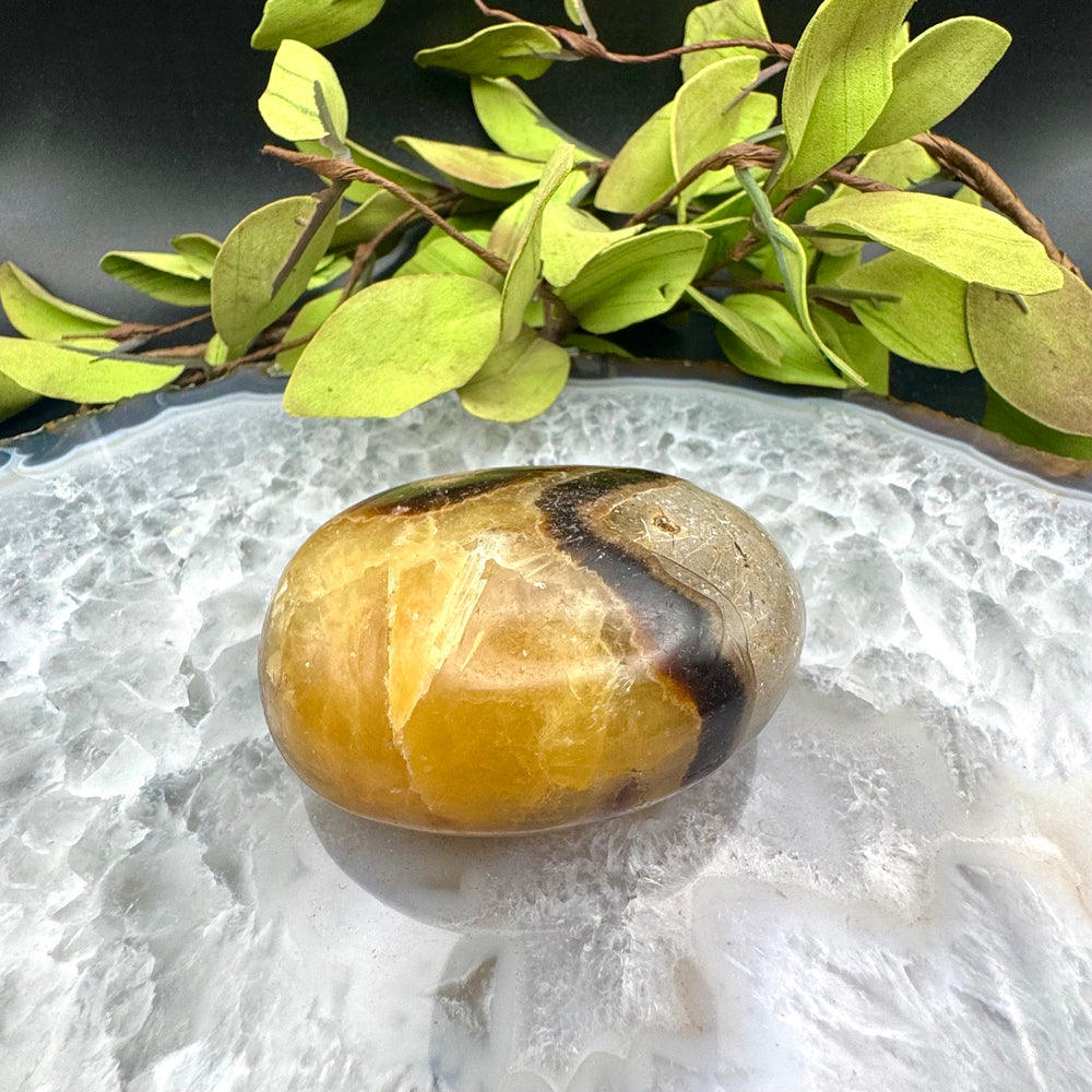 Septarian Palm Stone