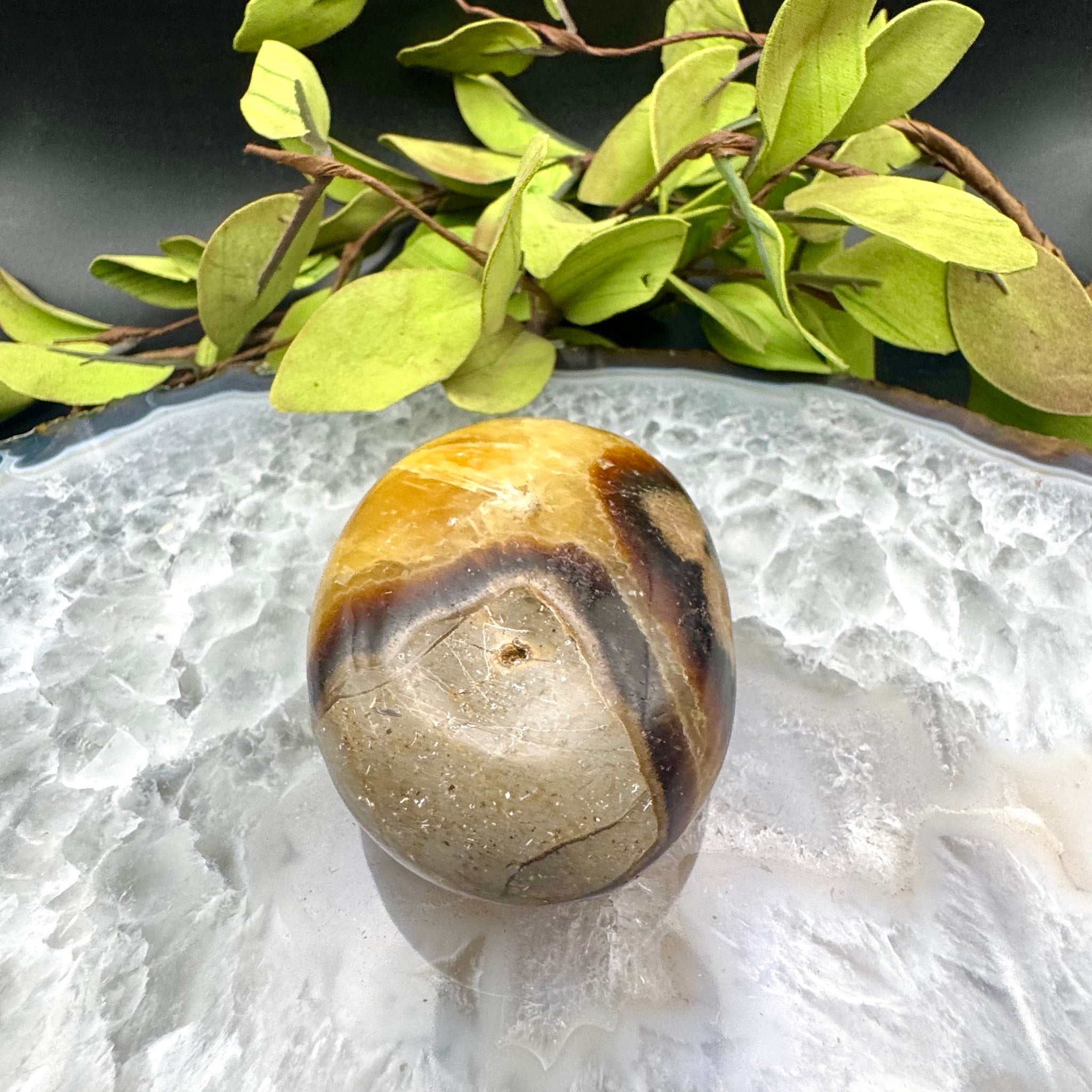 Septarian Palm Stone