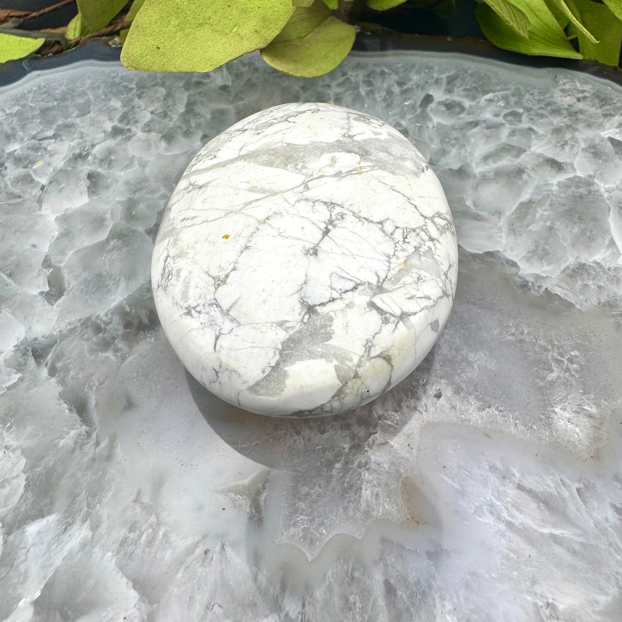 Howlite Etched Palm Stone