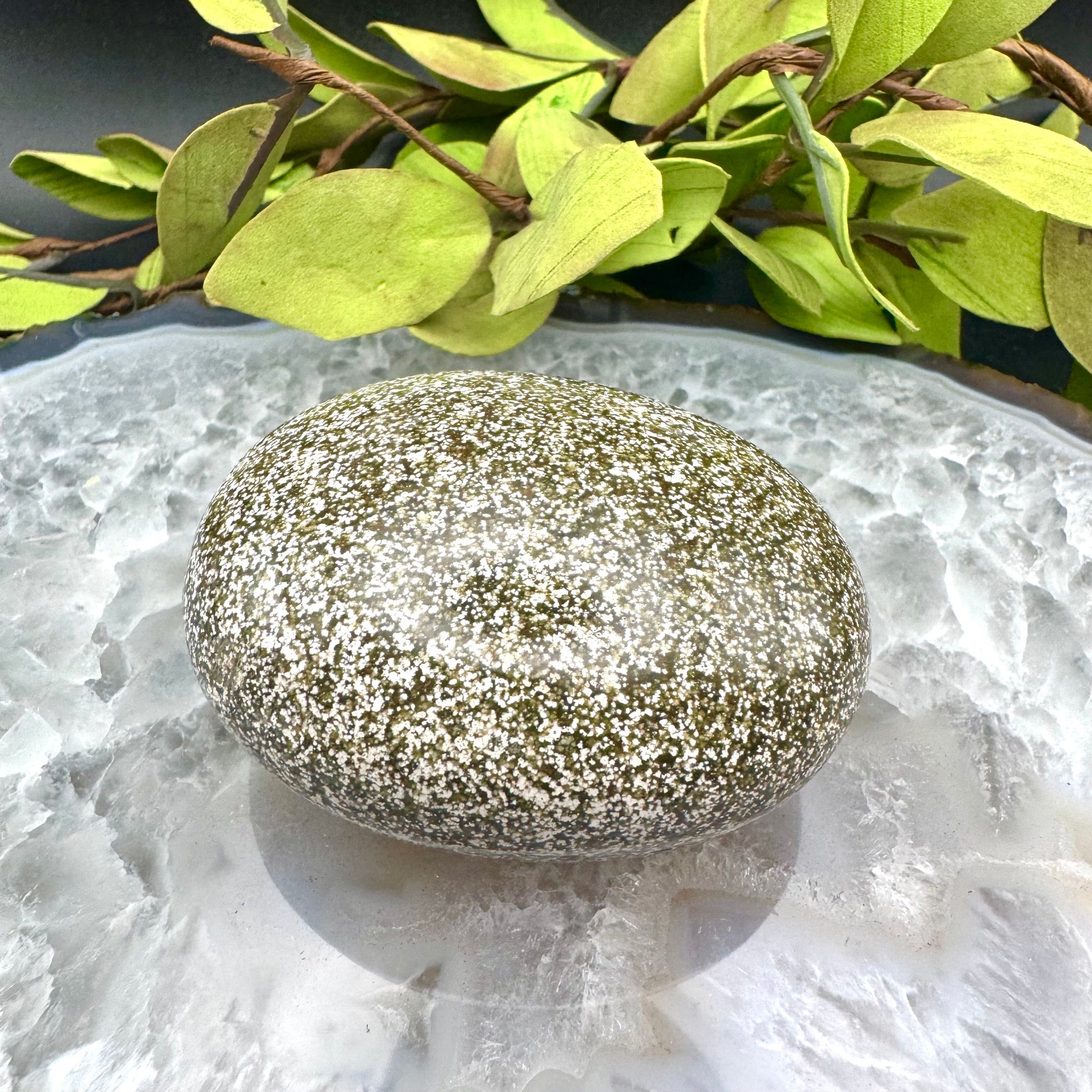 Ocean Jasper Palm Stone