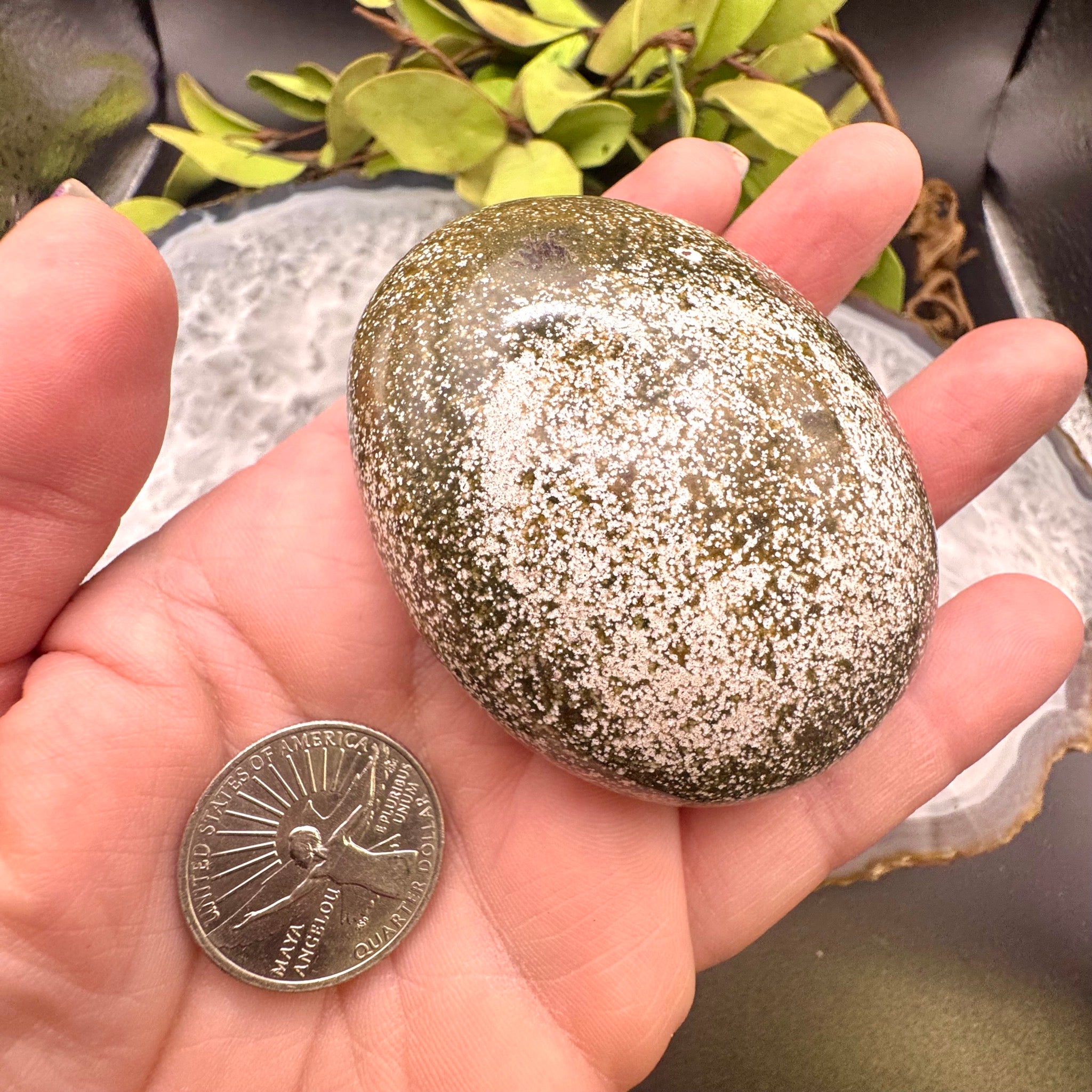 Ocean Jasper Palm Stone