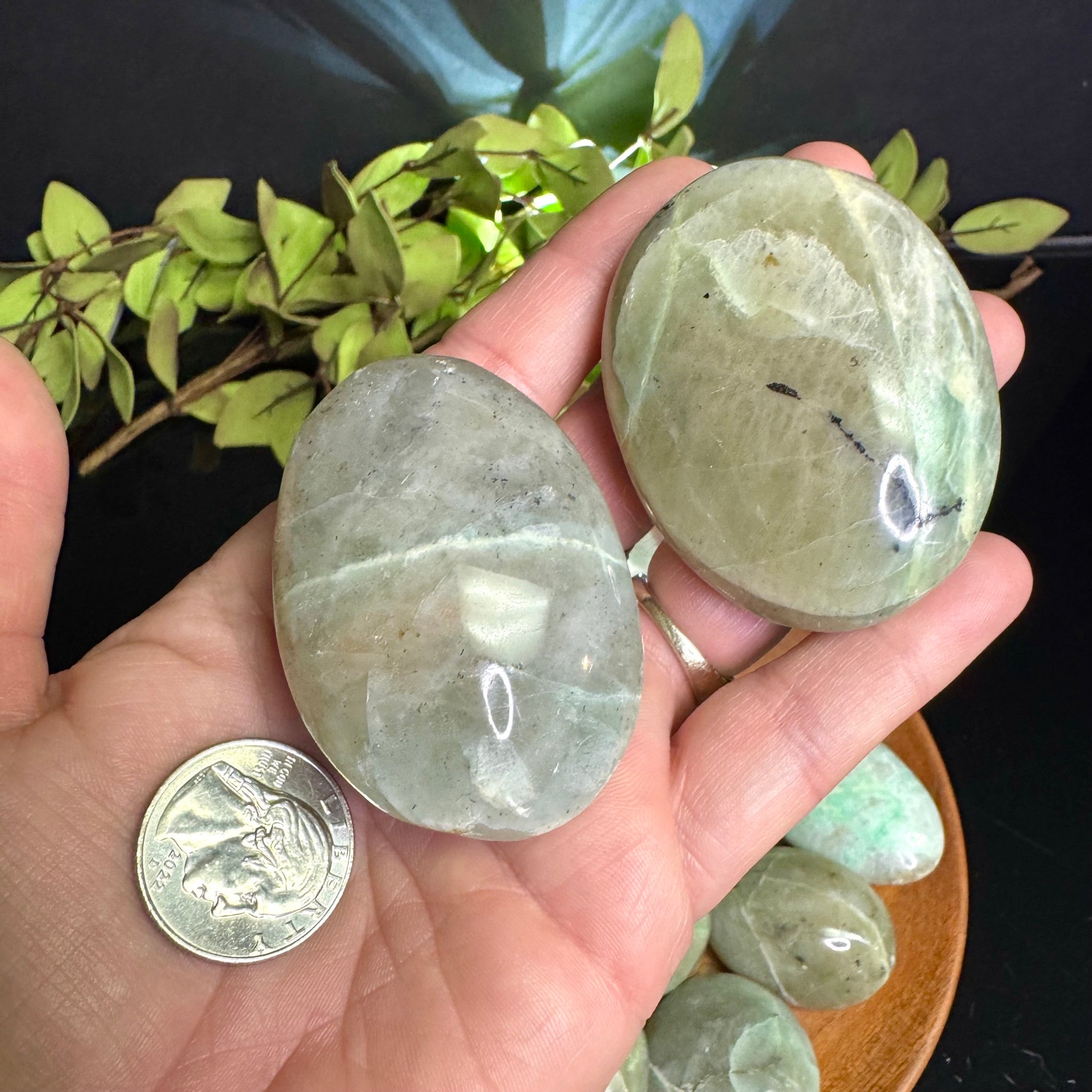 Garnierite Palm Stone