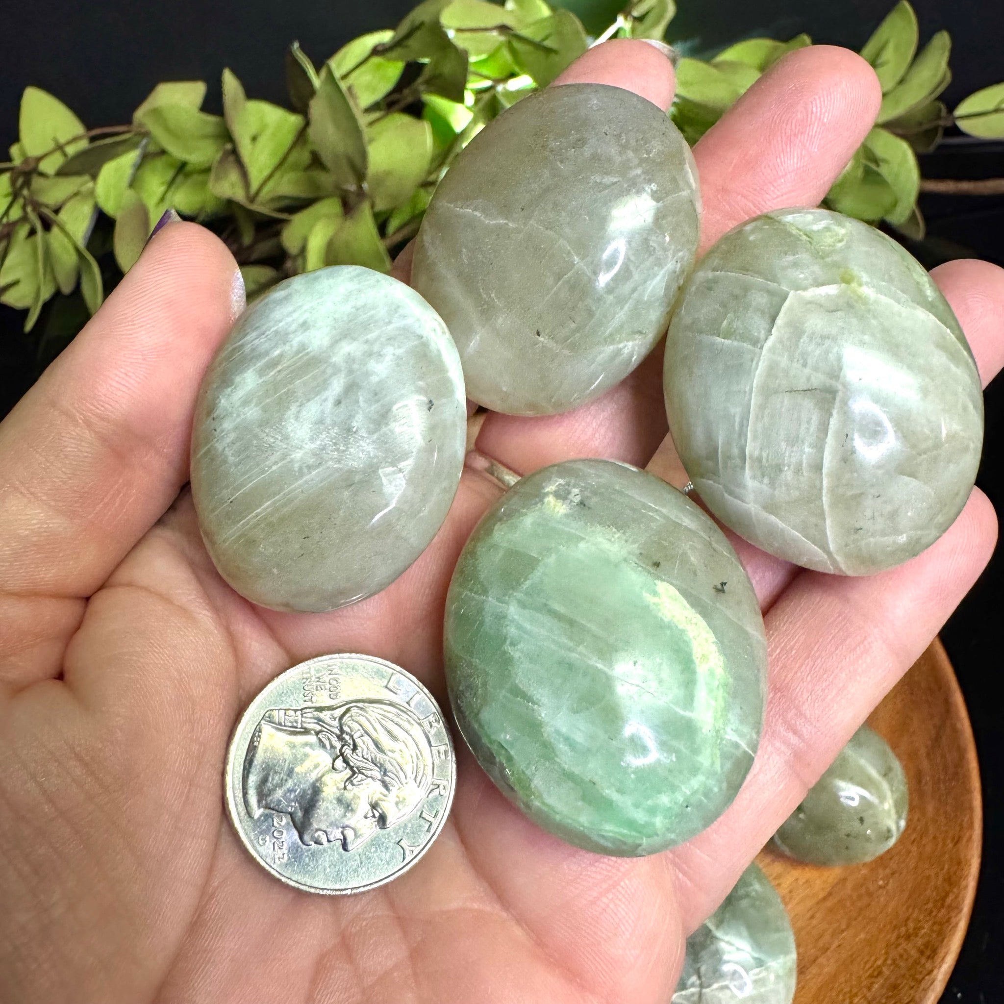 Garnierite Palm Stone
