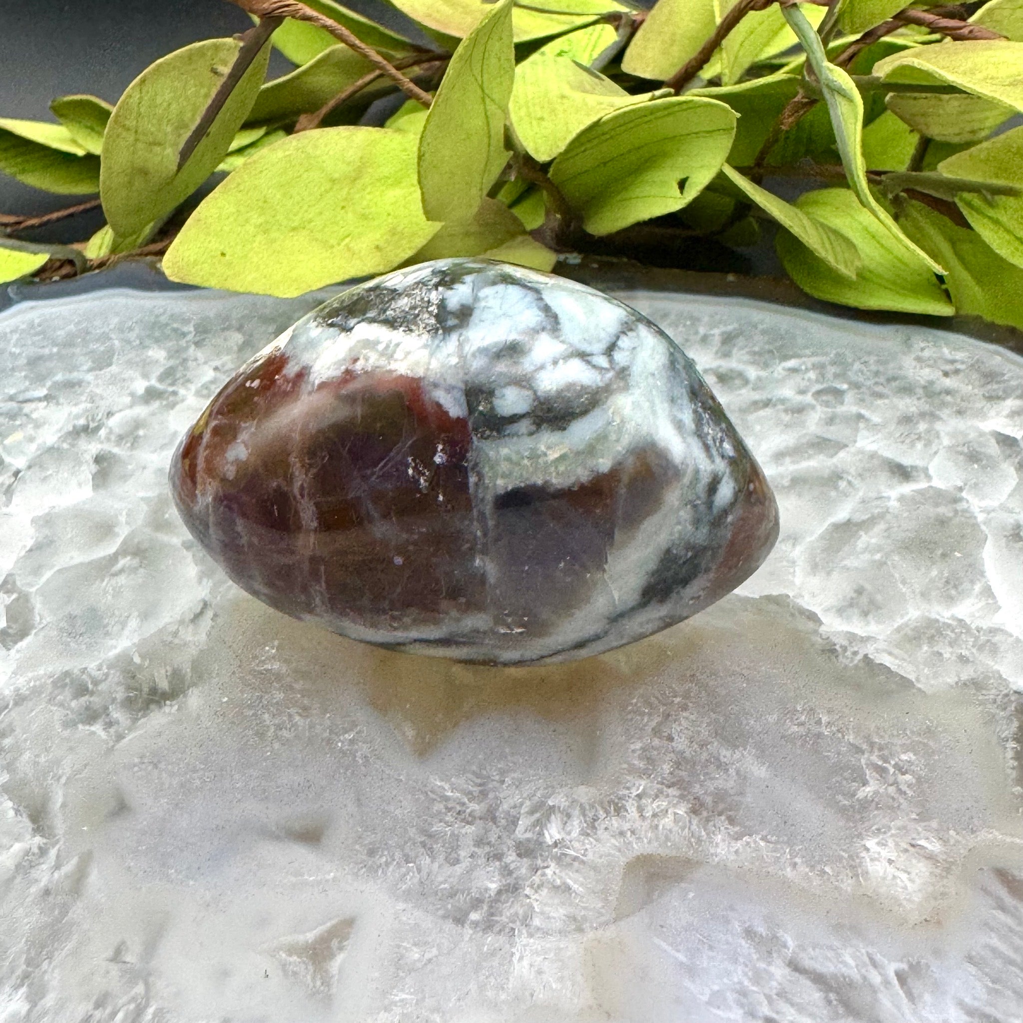 Ocean Jasper Palm Stone