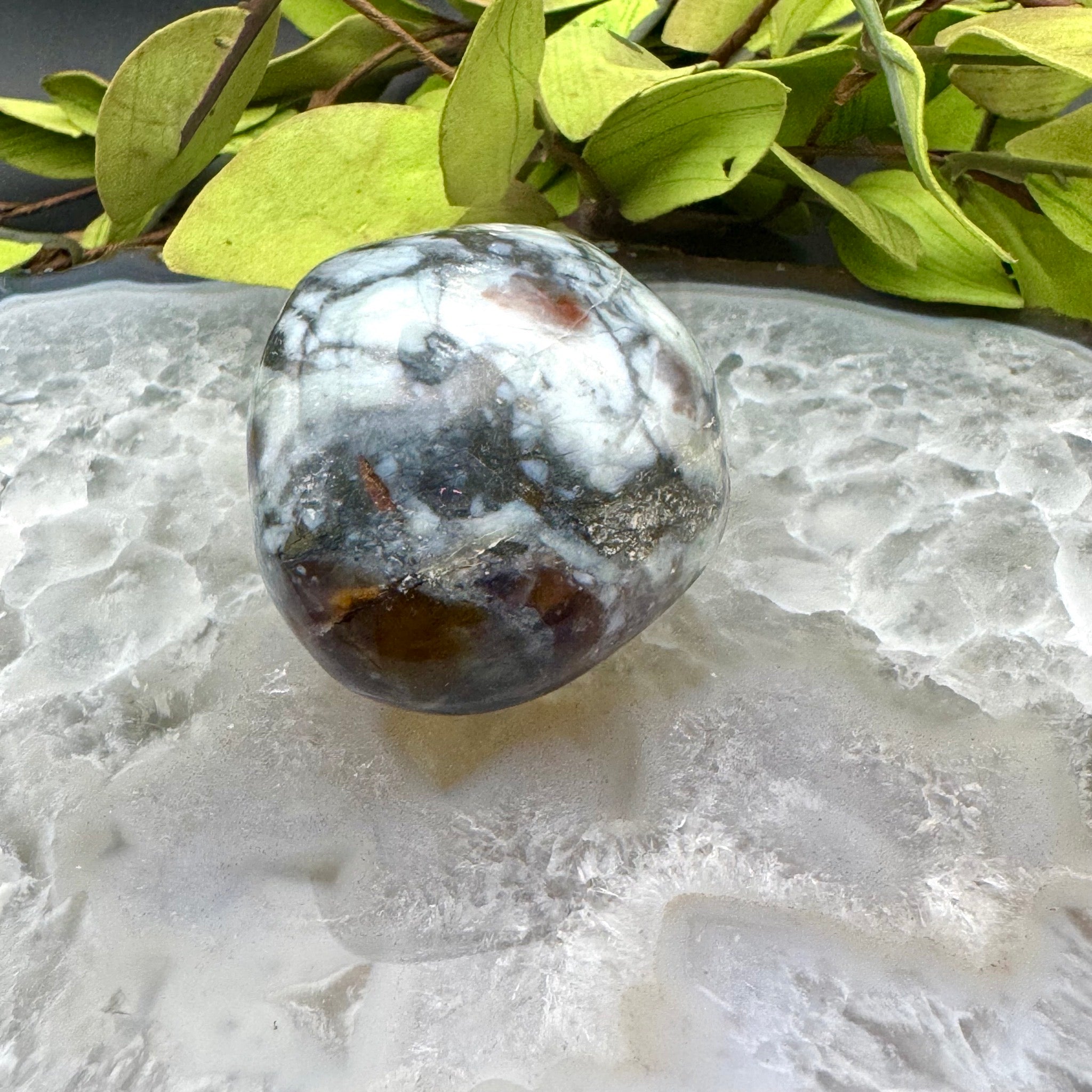 Ocean Jasper Palm Stone
