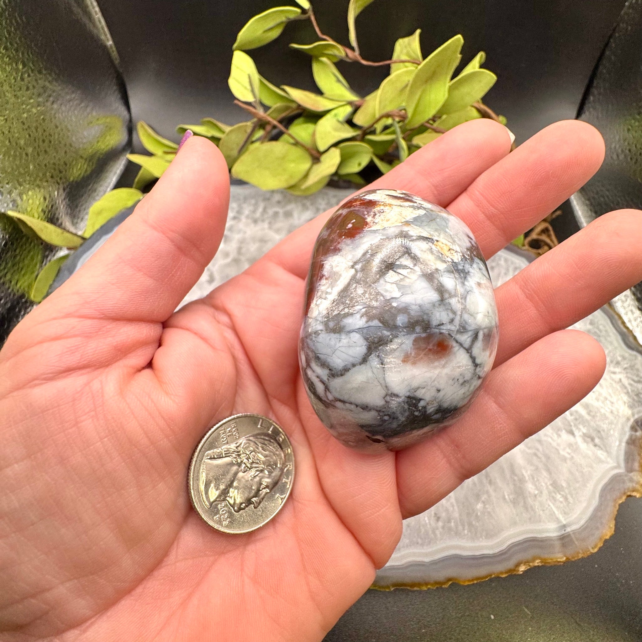 Ocean Jasper Palm Stone