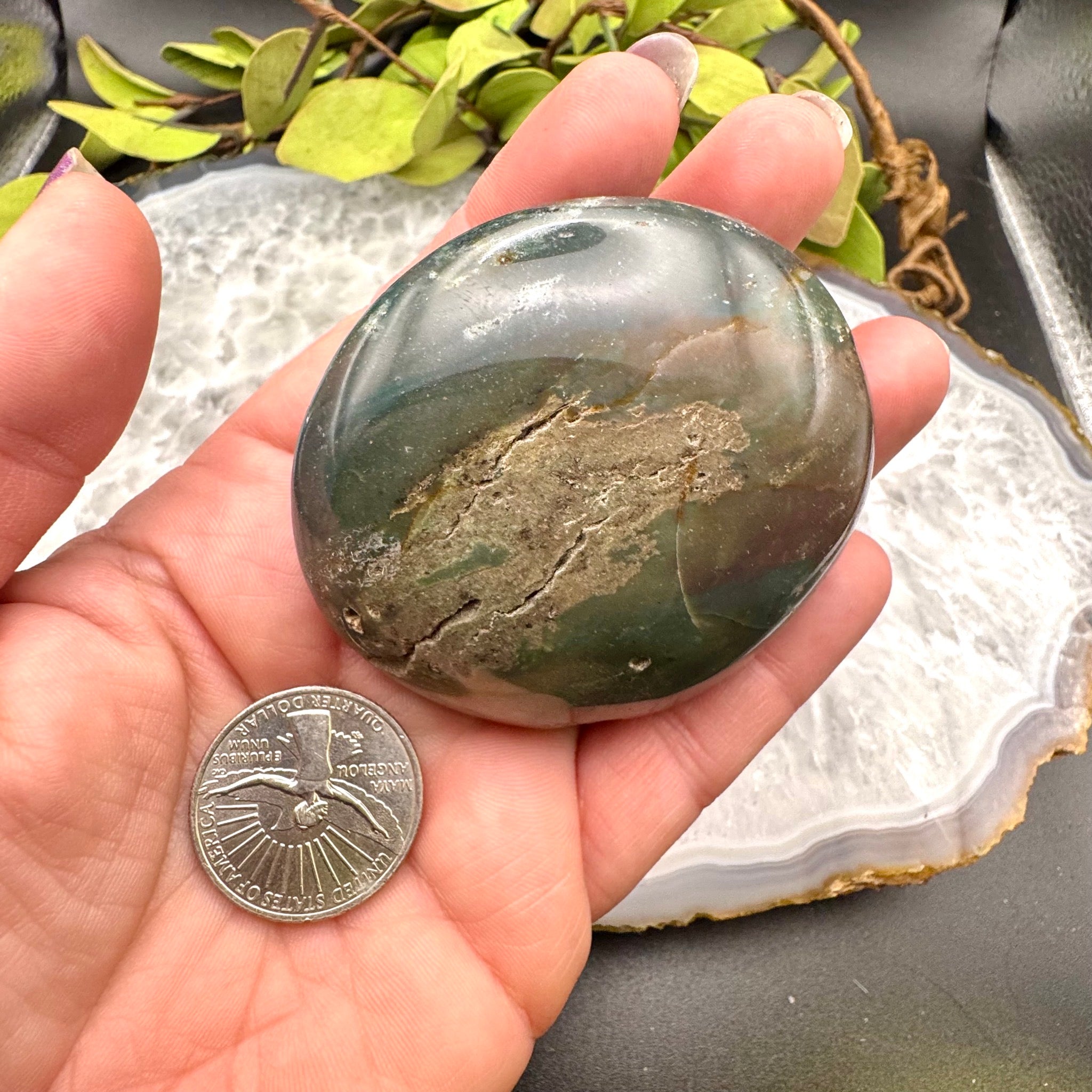 Ocean Jasper Palm Stone