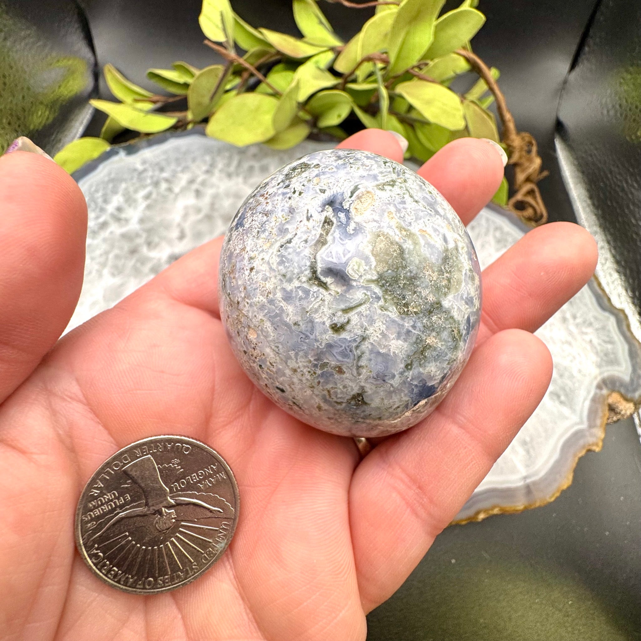 Ocean Jasper Palm Stone