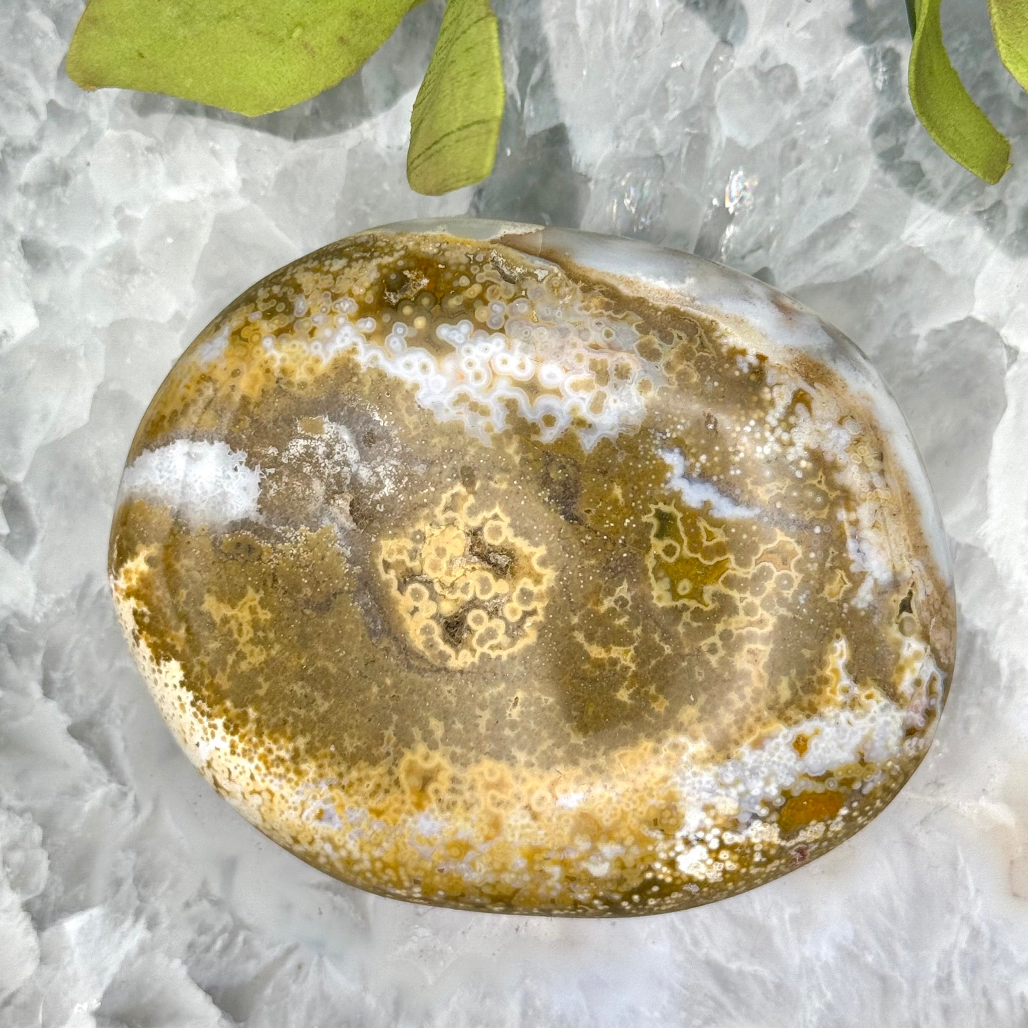 Ocean Jasper Palm Stone