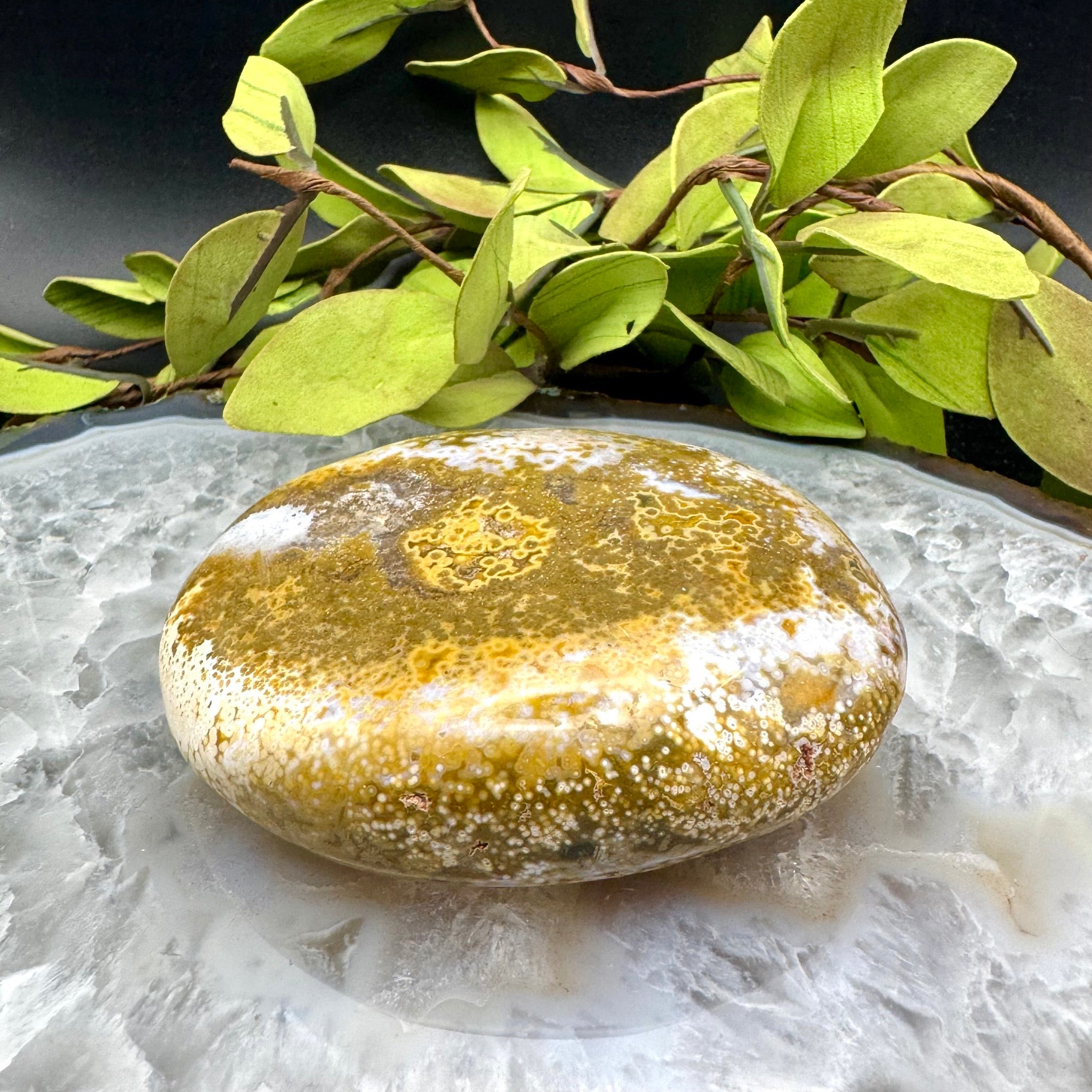 Ocean Jasper Palm Stone