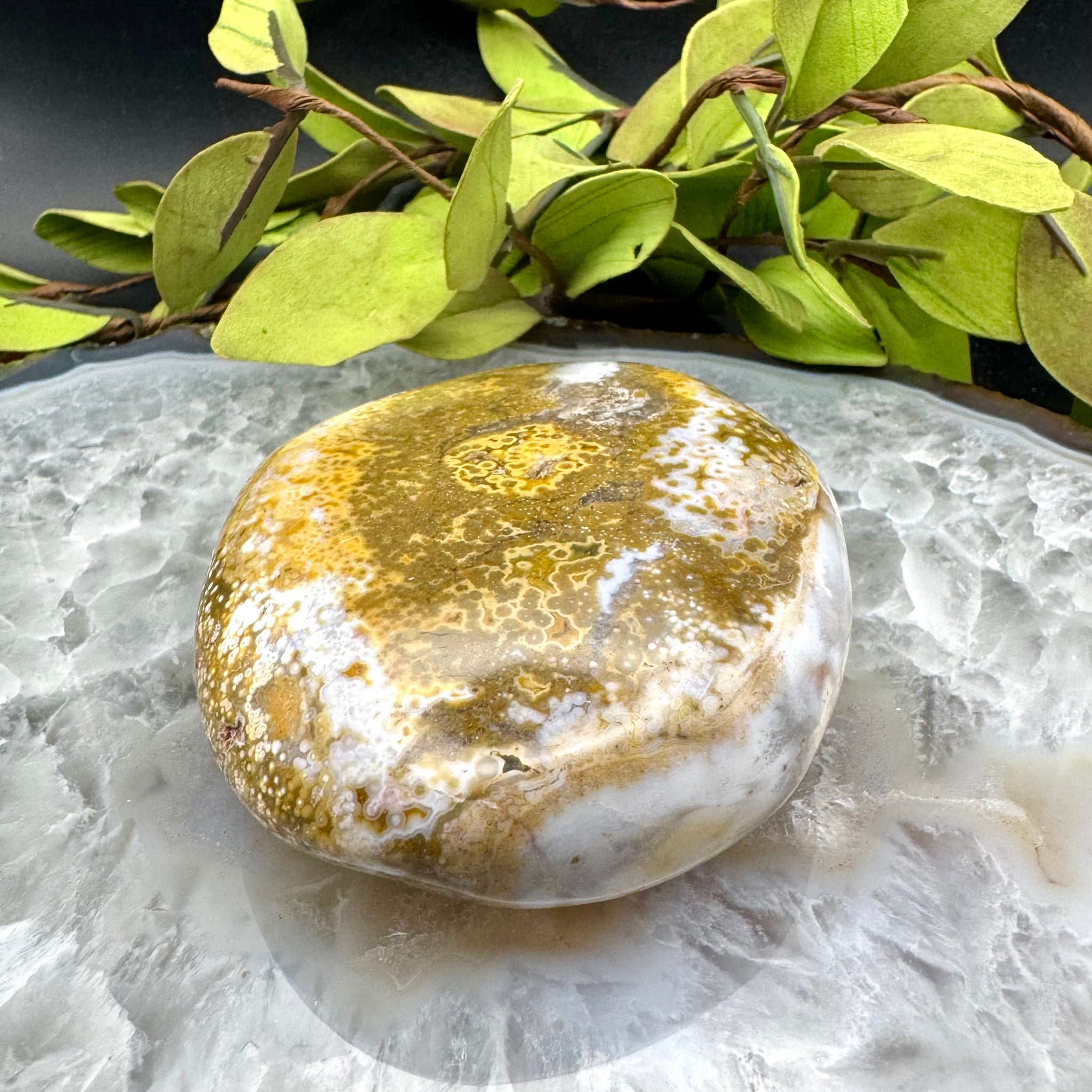 Ocean Jasper Palm Stone