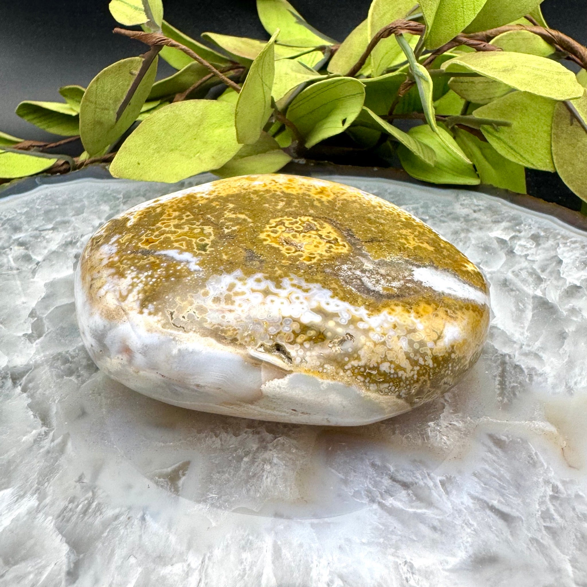 Ocean Jasper Palm Stone