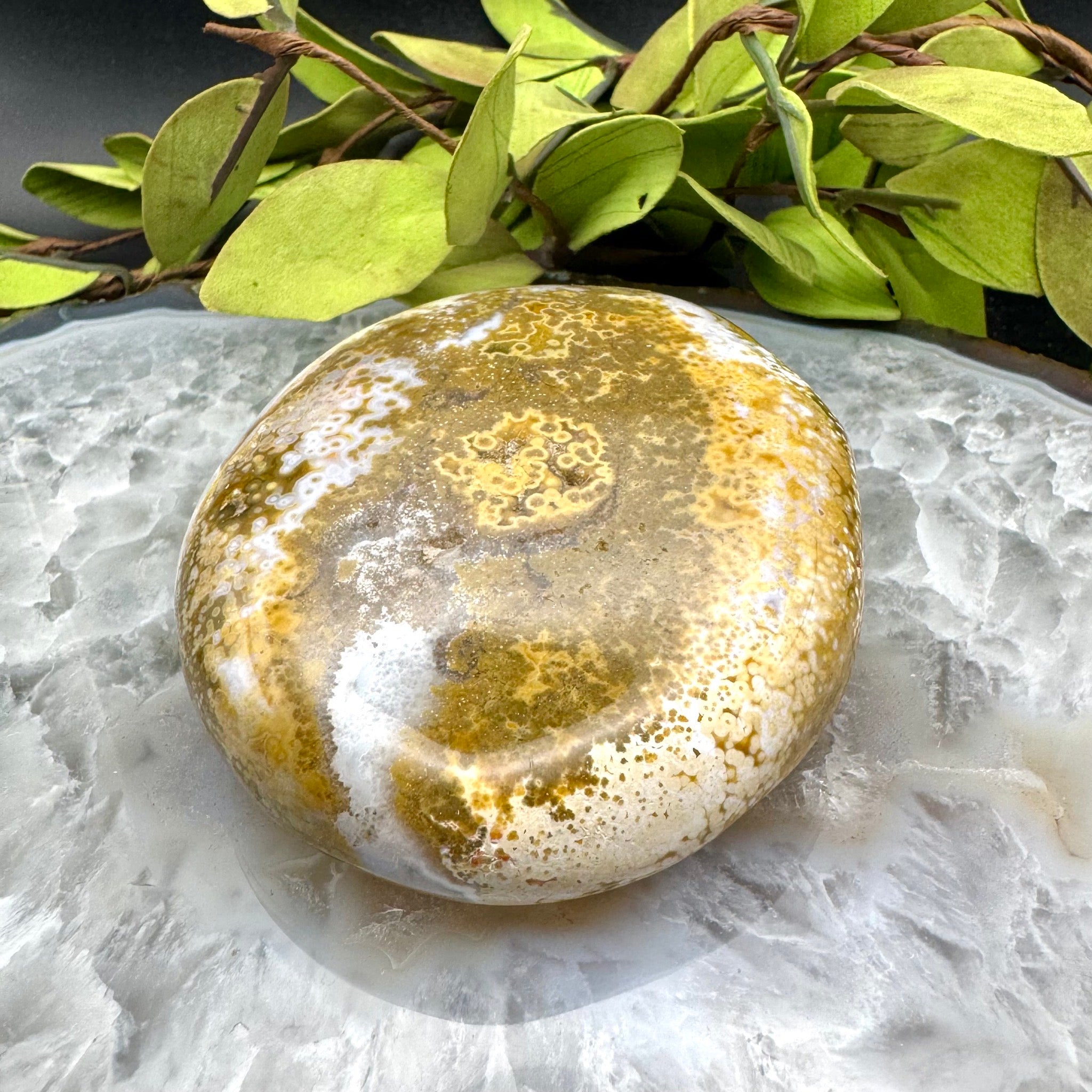 Ocean Jasper Palm Stone