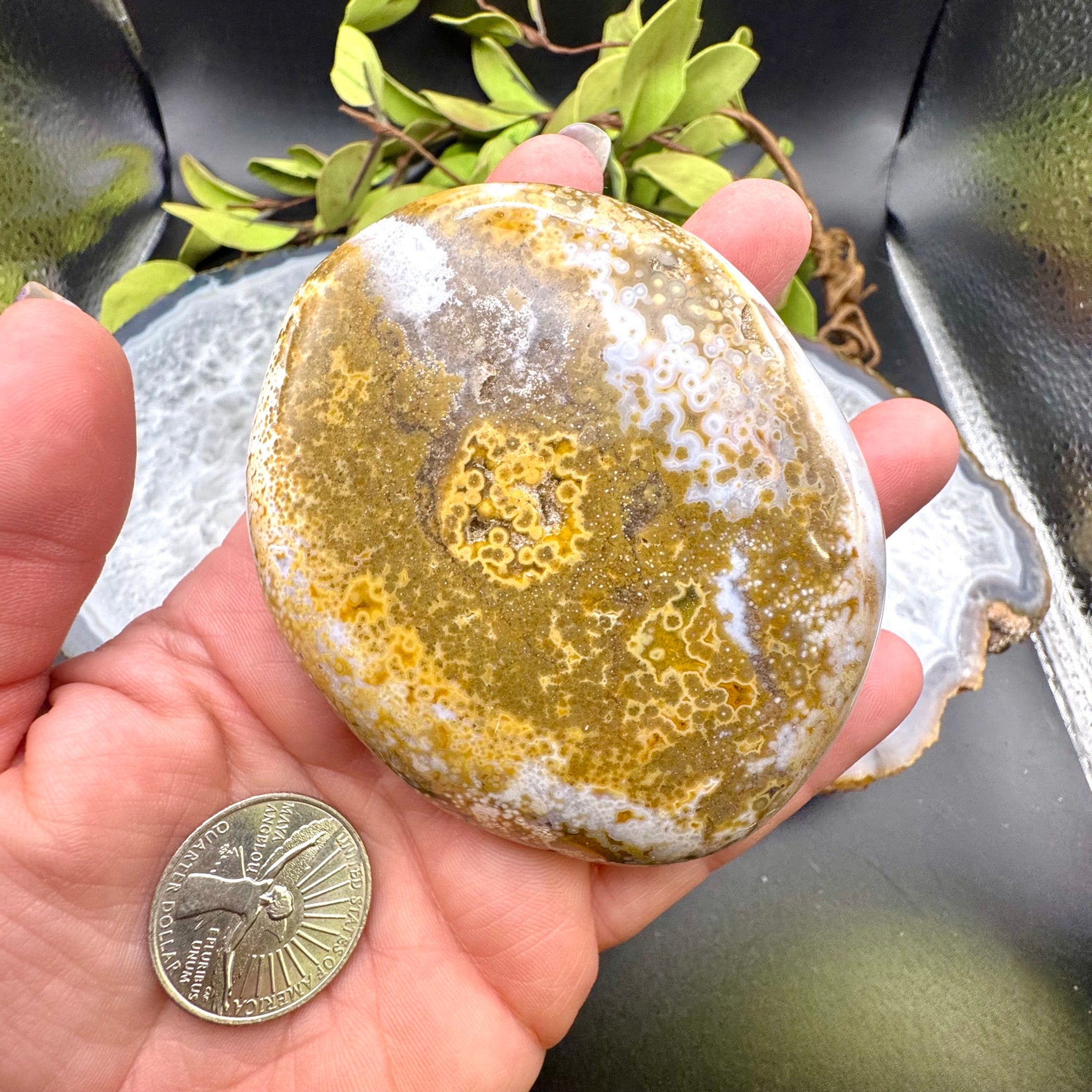 Ocean Jasper Palm Stone