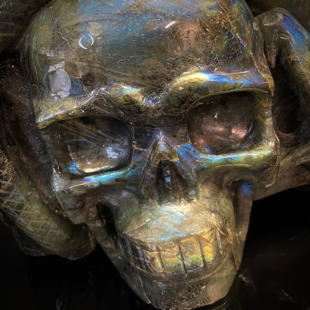 Labradorite Skull with Snake