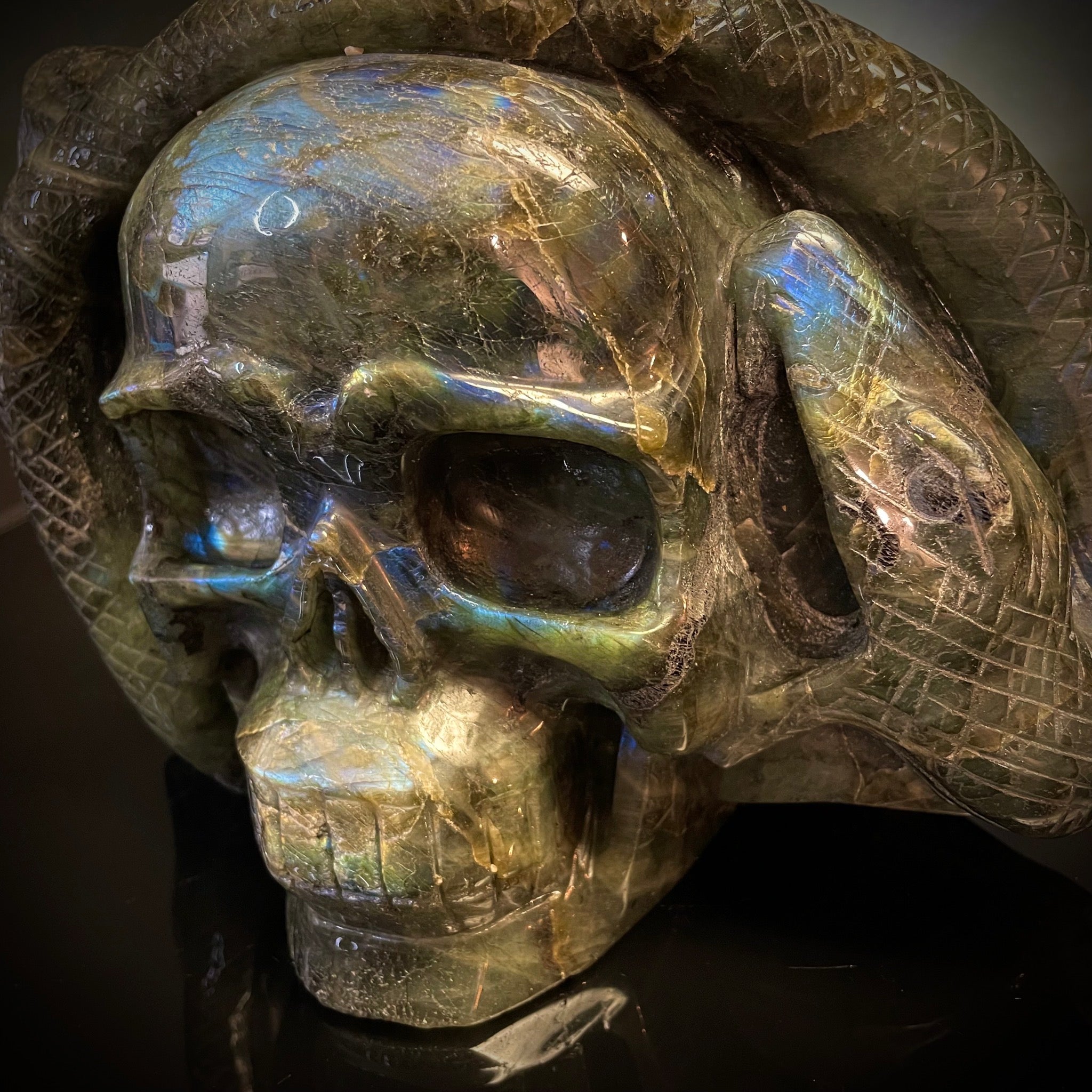 Labradorite Skull with Snake