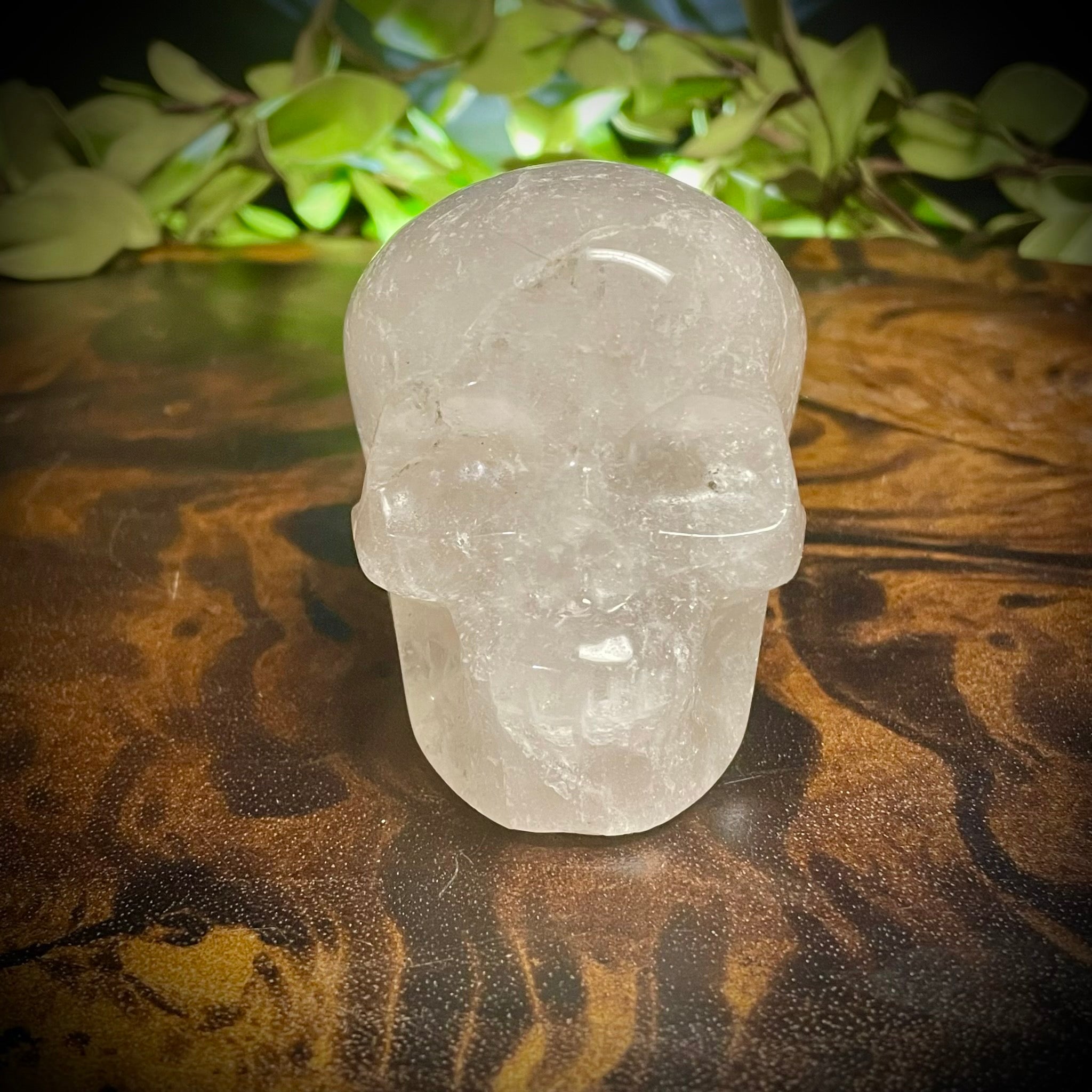 Clear Quartz Skull