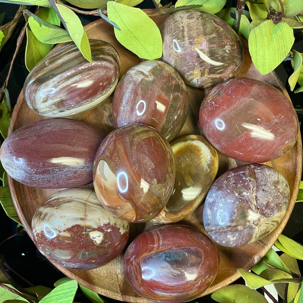 Petrified Wood Palm Stone