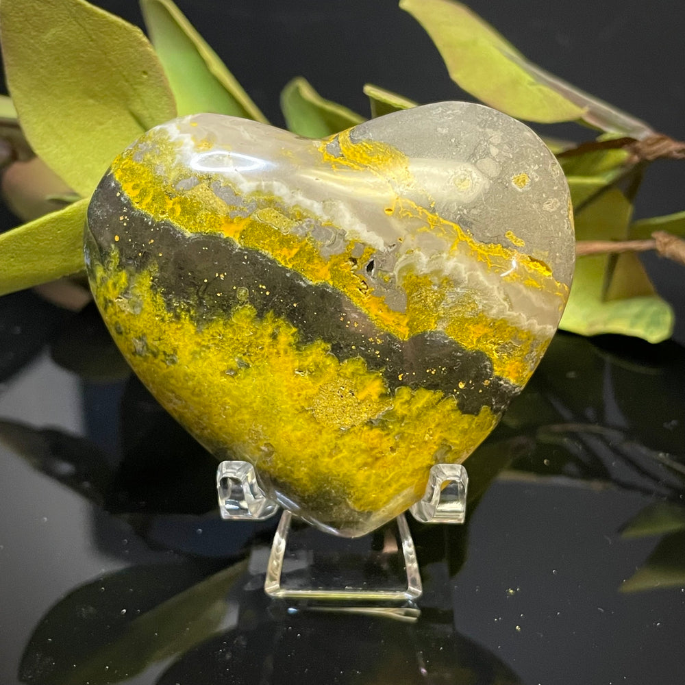 Bumblebee Jasper Heart