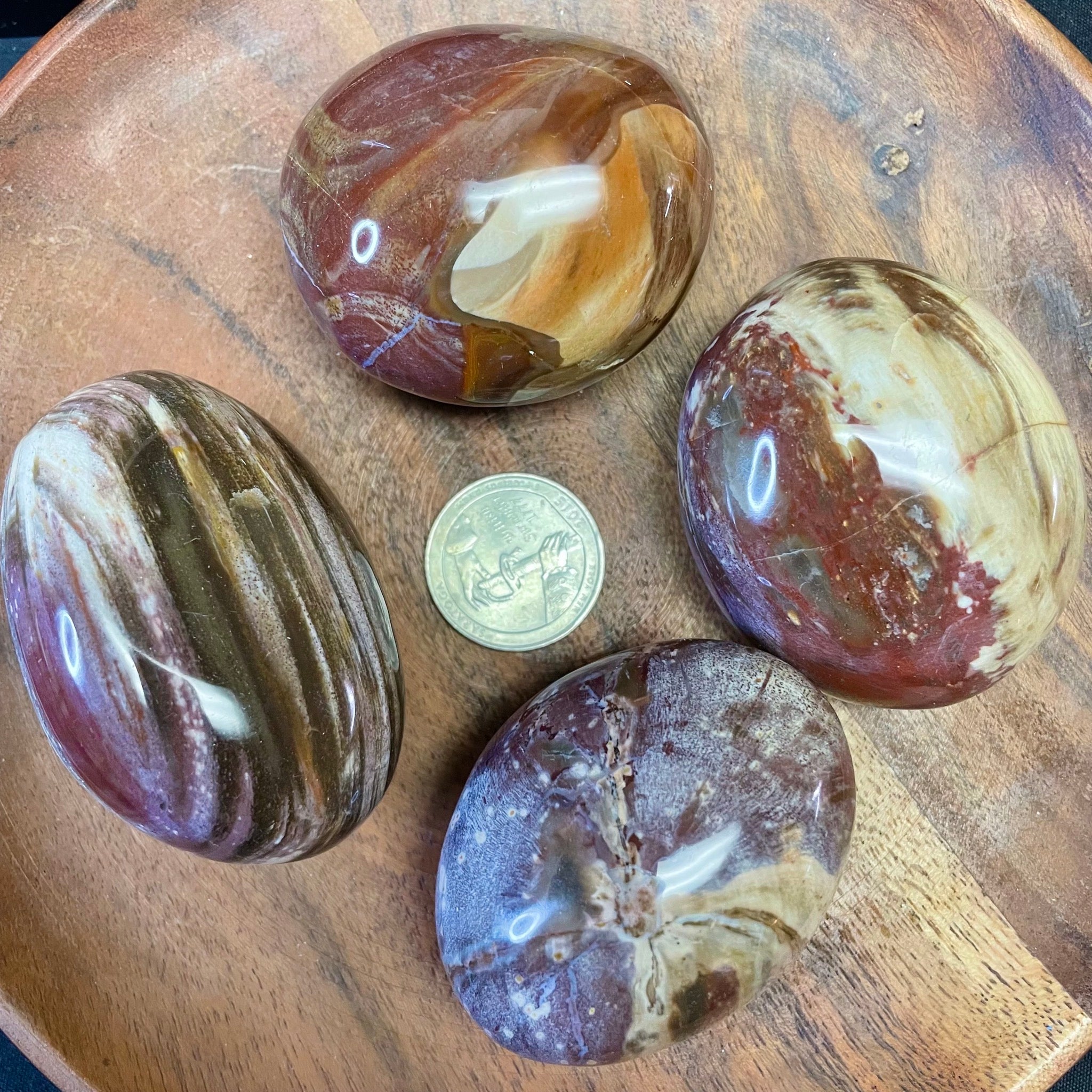 Petrified Wood Palm Stone