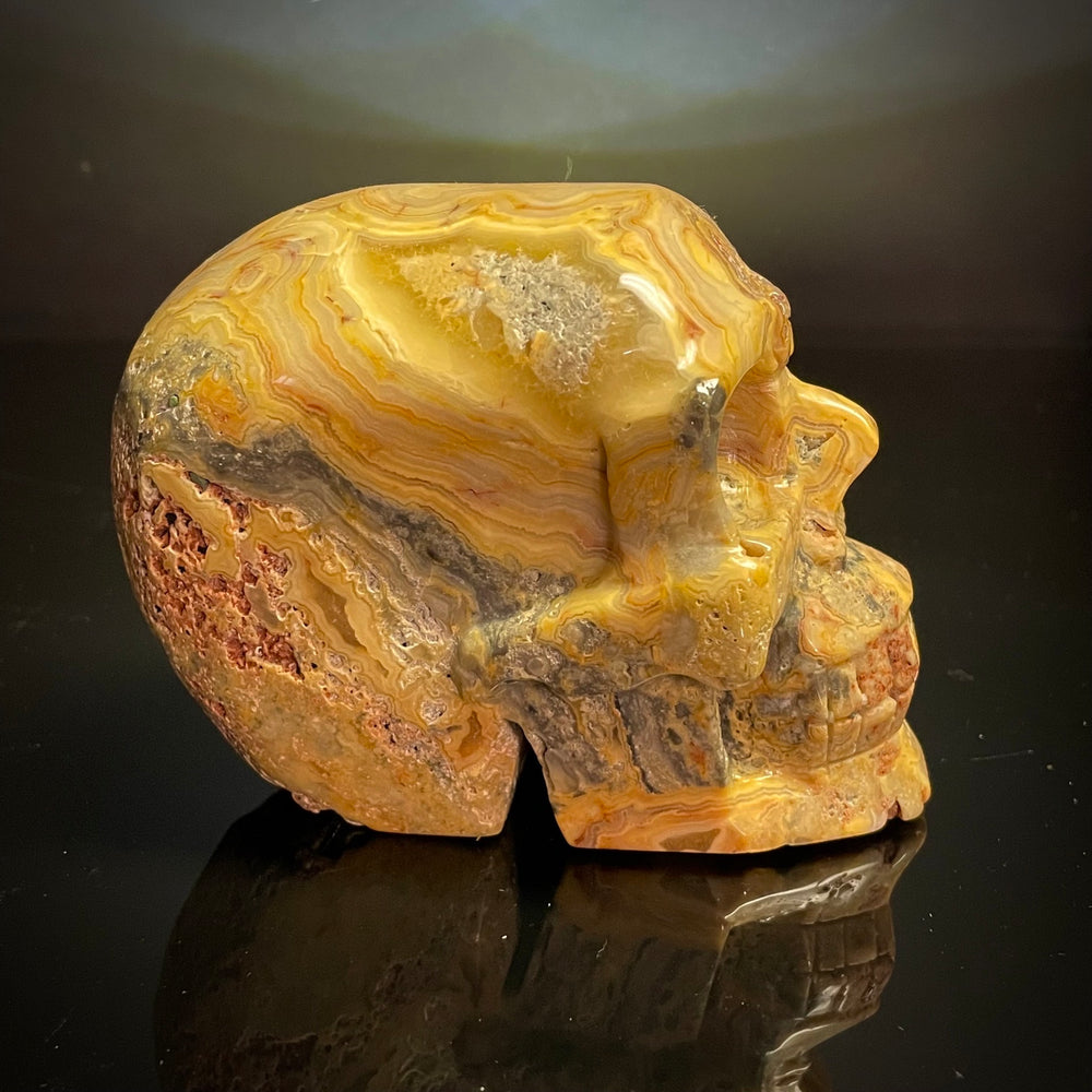 Crazy Lace Agate Skull