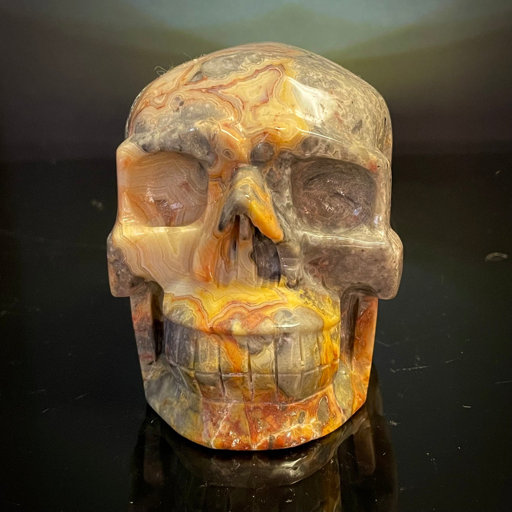 Crazy Lace Agate Skull