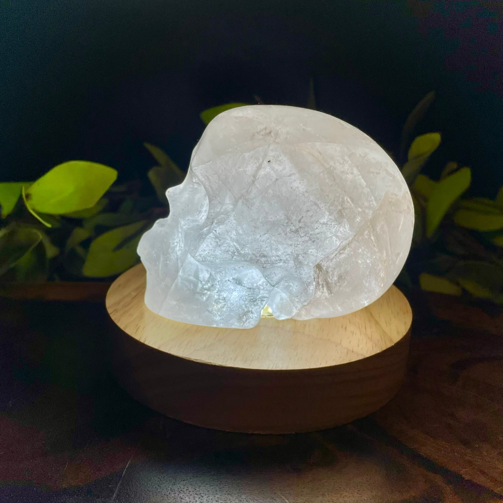 Clear Quartz Skull