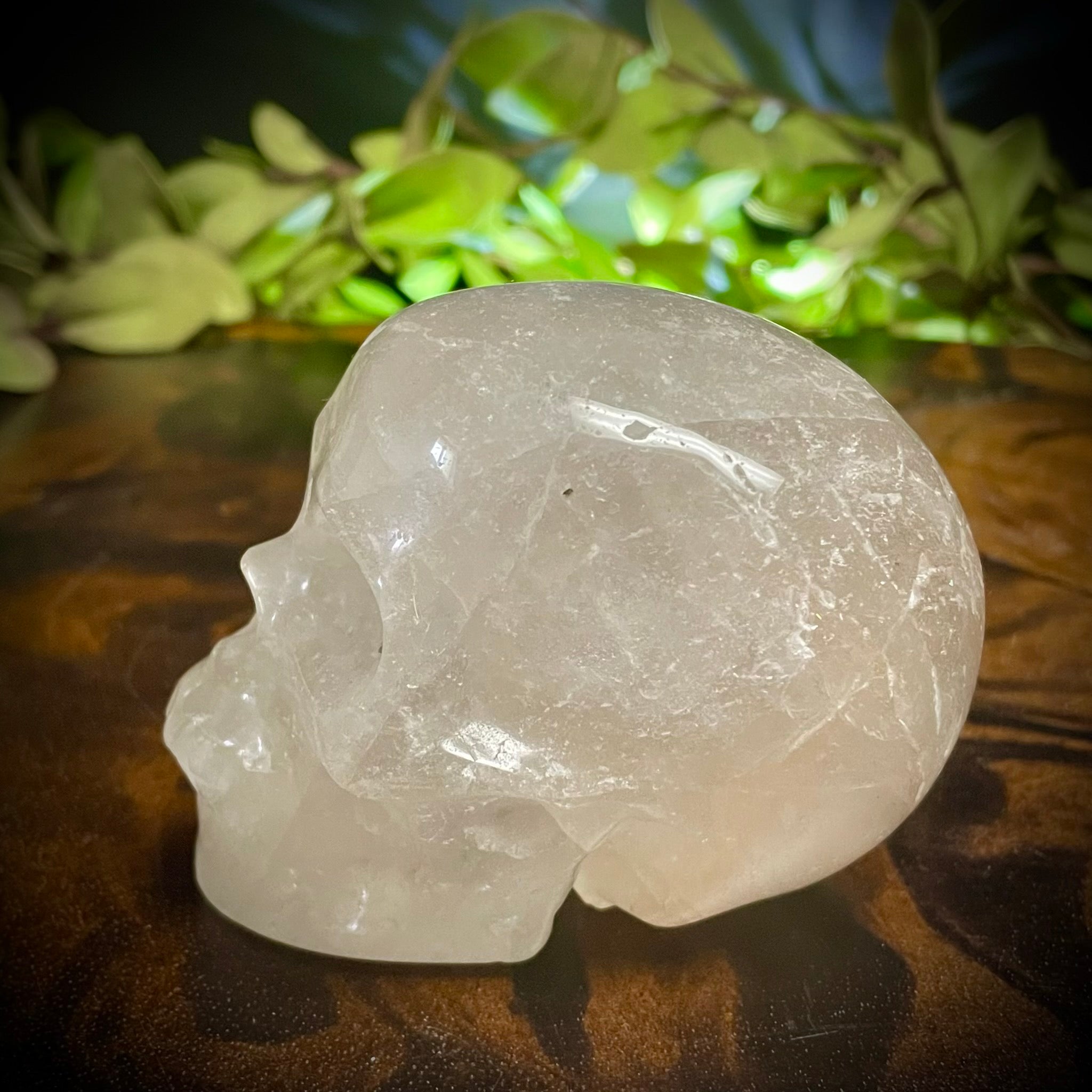 Clear Quartz Skull