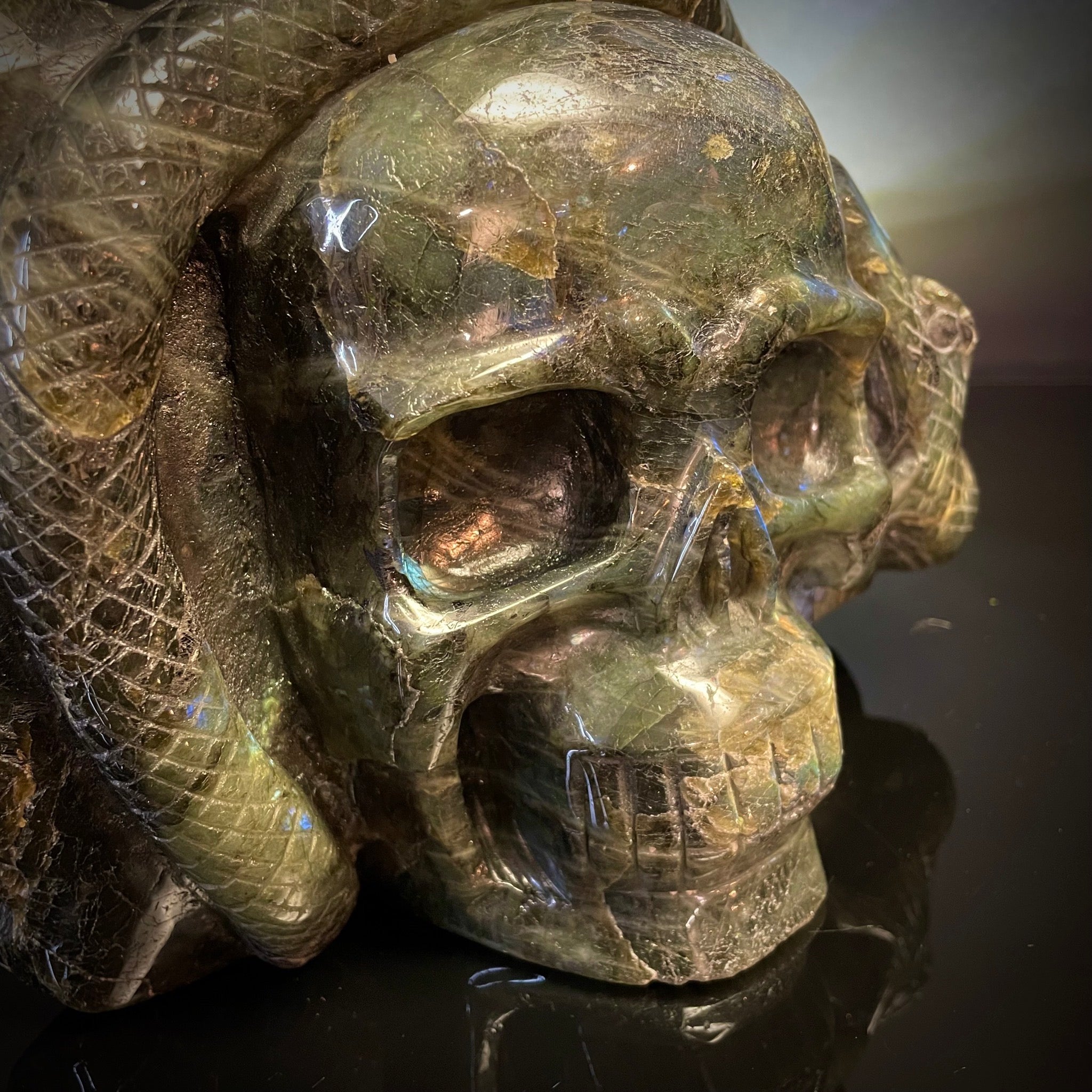 Labradorite Skull with Snake