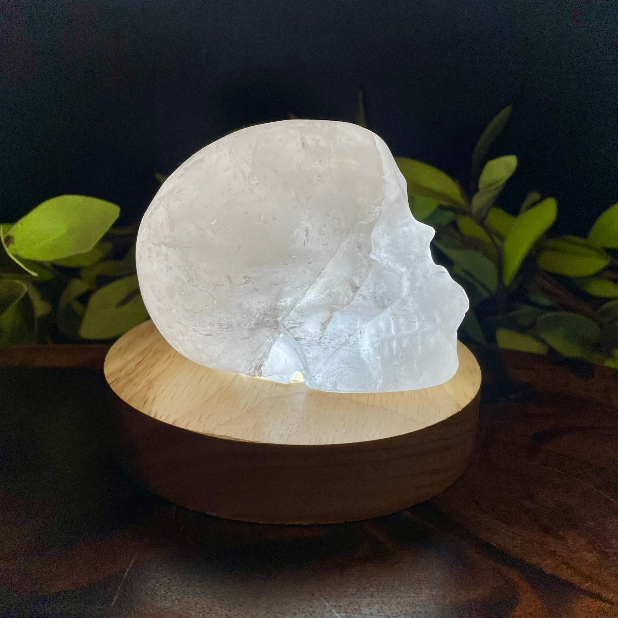 Clear Quartz Skull