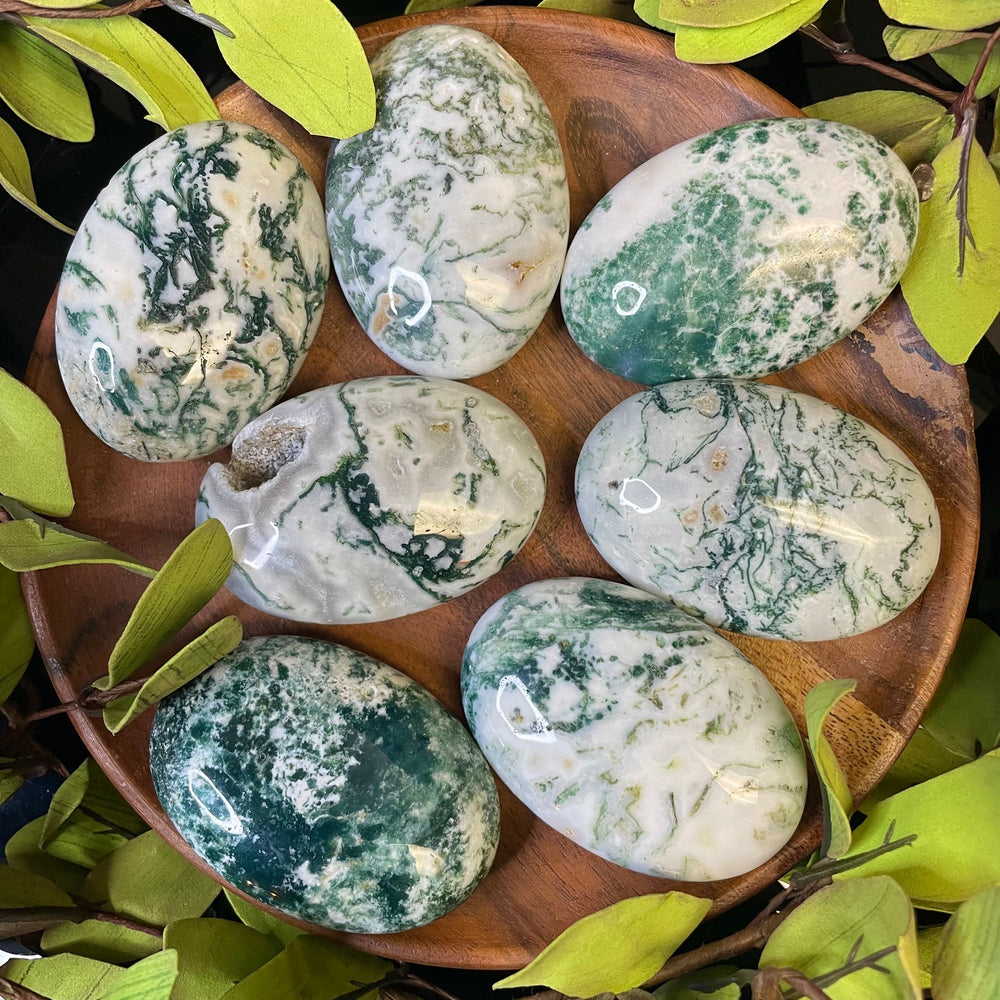 Tree Agate Palm Stone