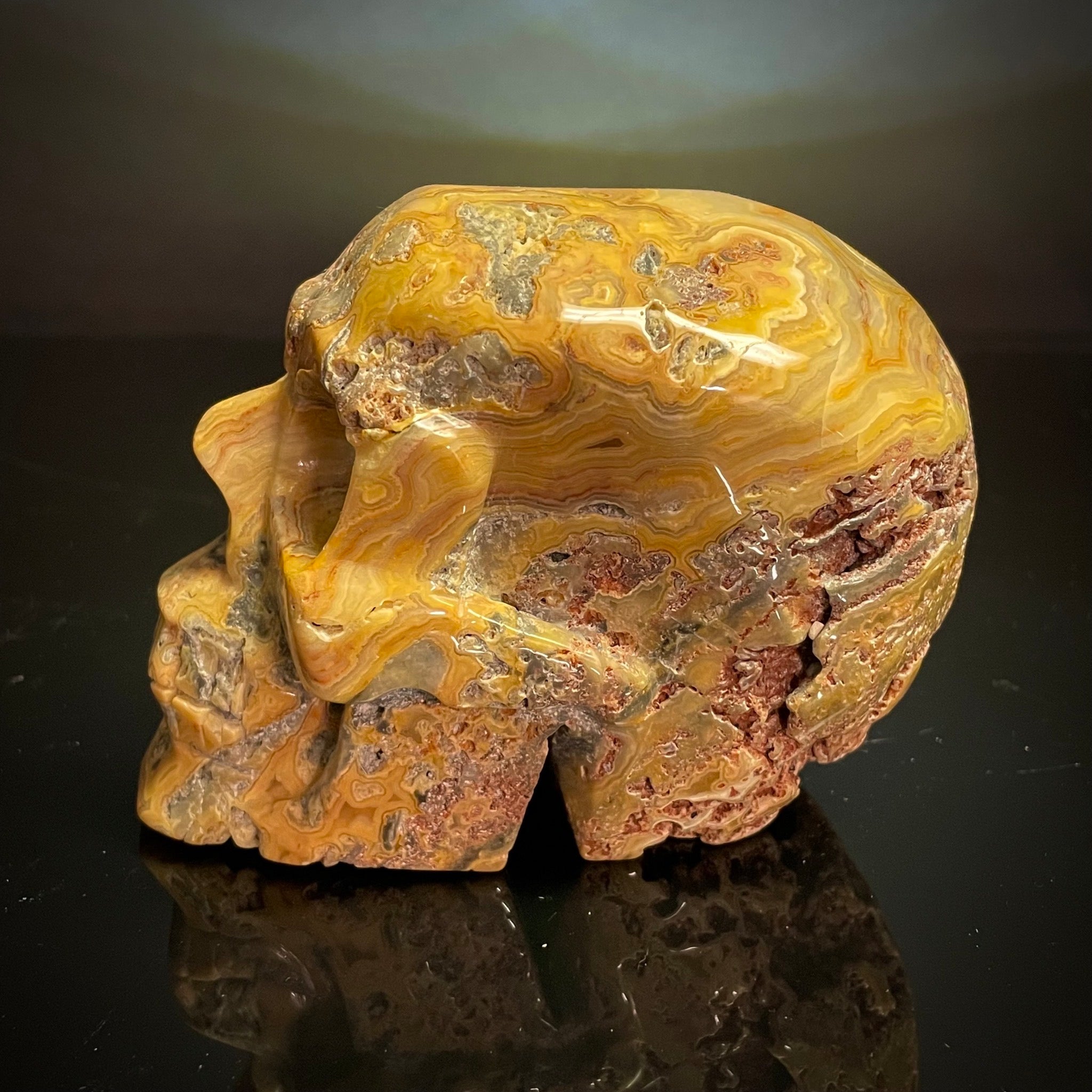 Crazy Lace Agate Skull