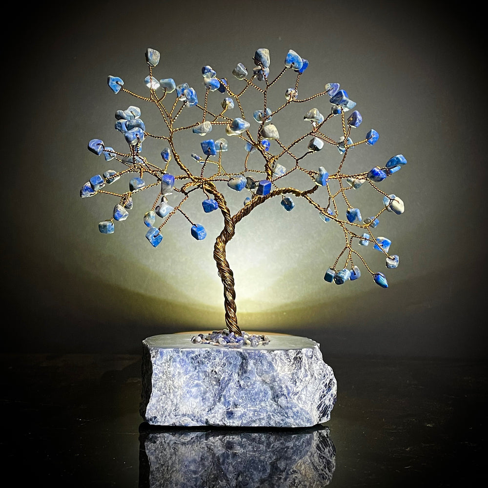 Lapis Lazuli on Sodalite Mojo Tree