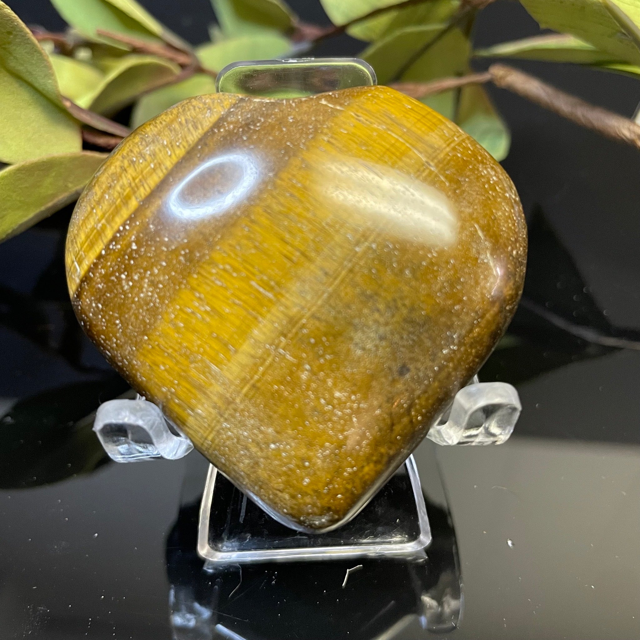 Tigers Eye Heart