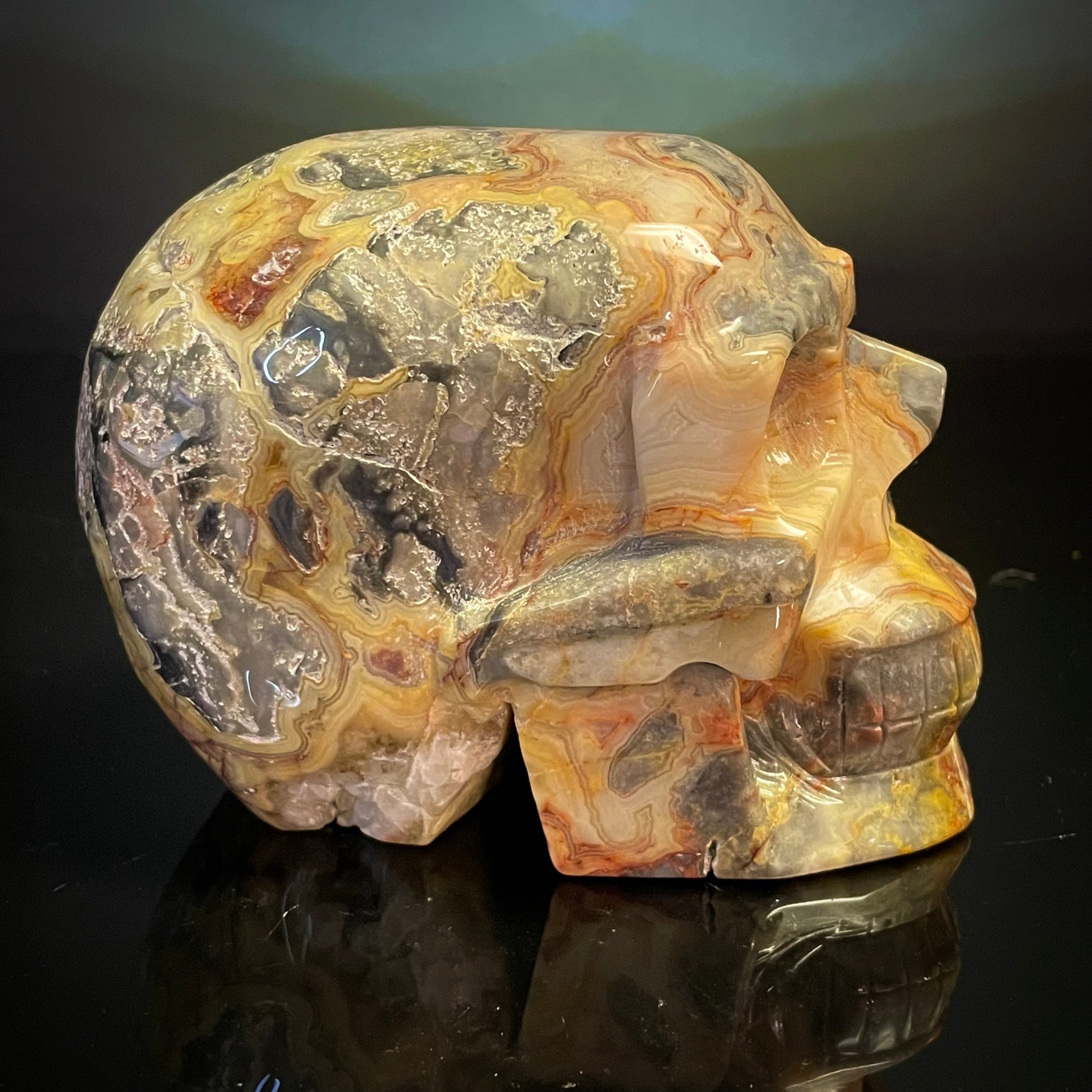 Crazy Lace Agate Skull