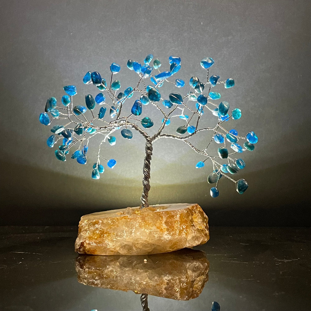 Blue Apatite on Golden Healer Mojo Tree