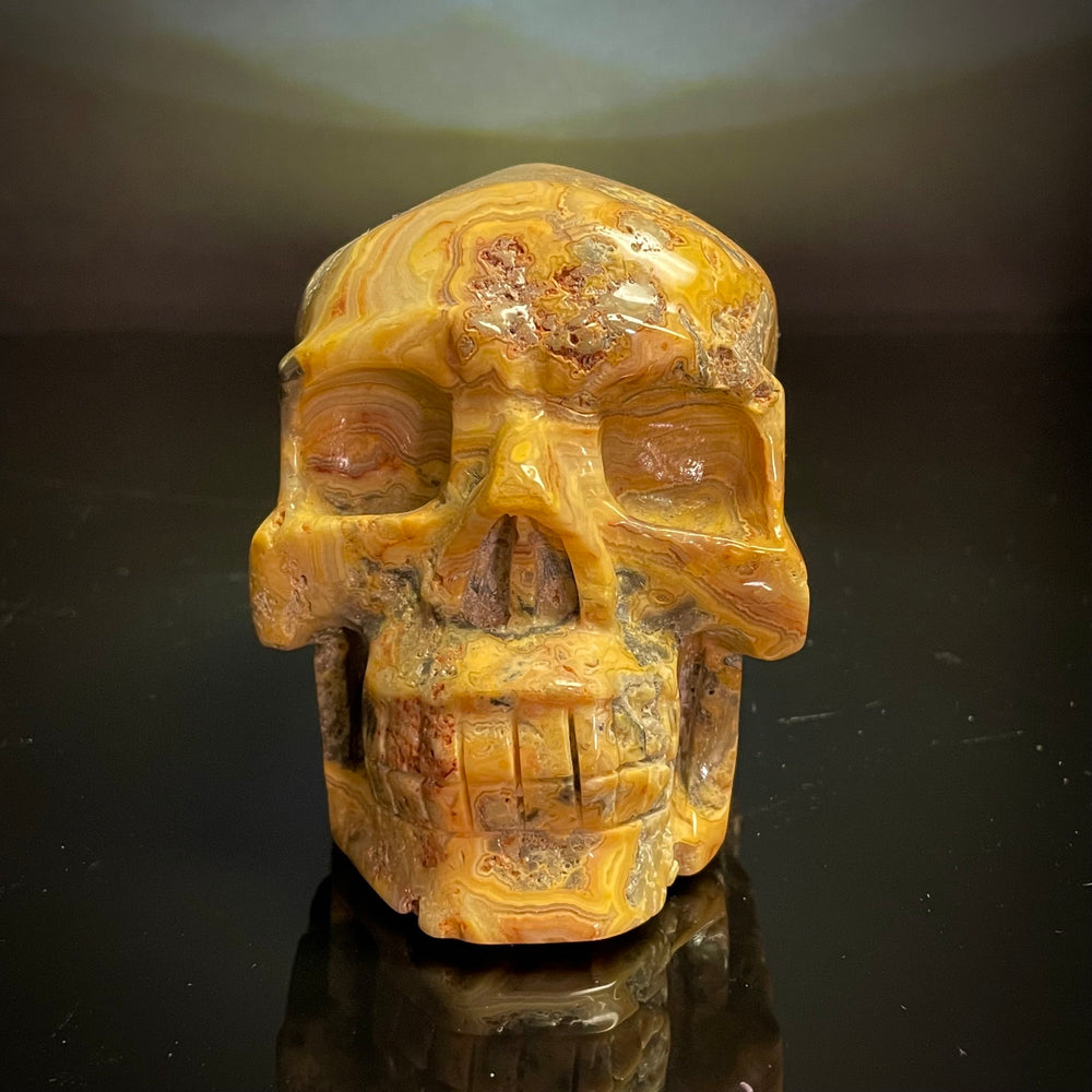 Crazy Lace Agate Skull