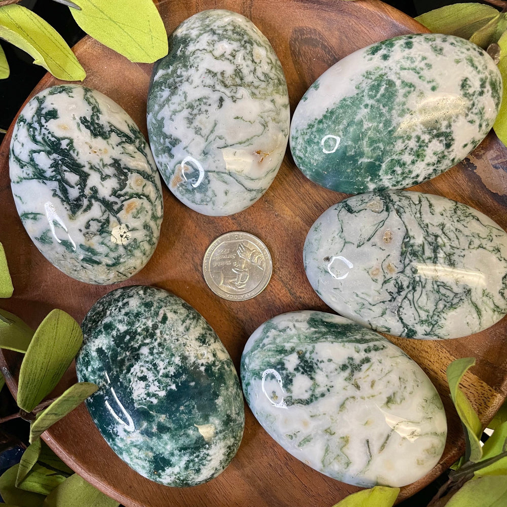 Tree Agate Palm Stone