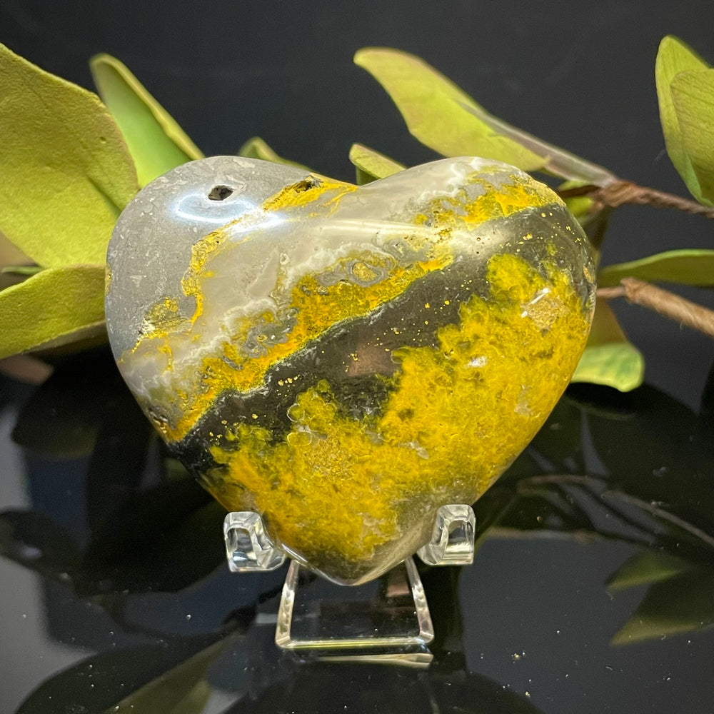 Bumblebee Jasper Heart